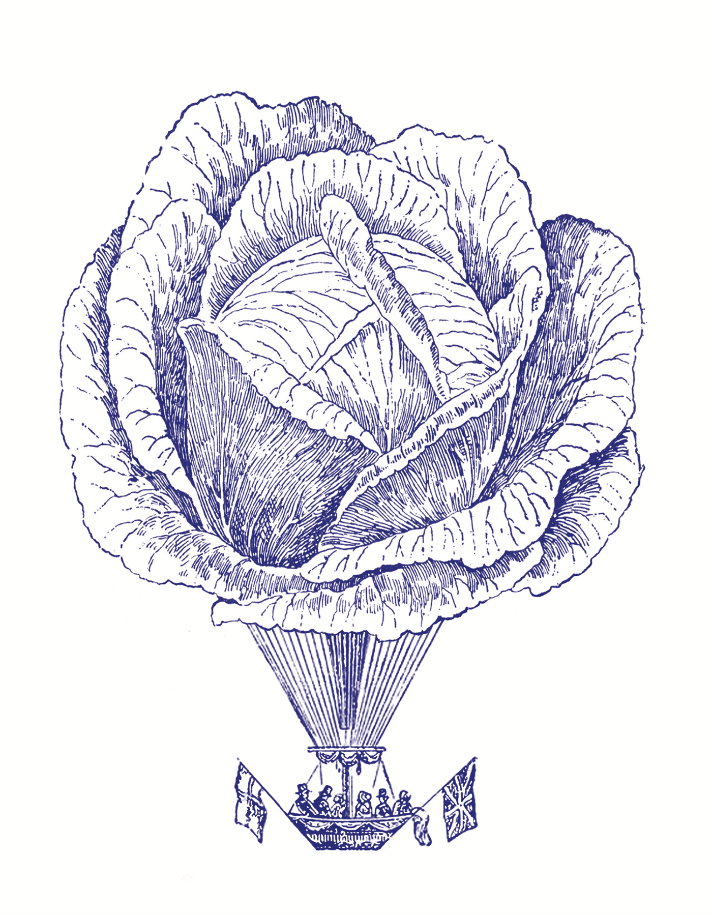 高级有机饮料包装6.png