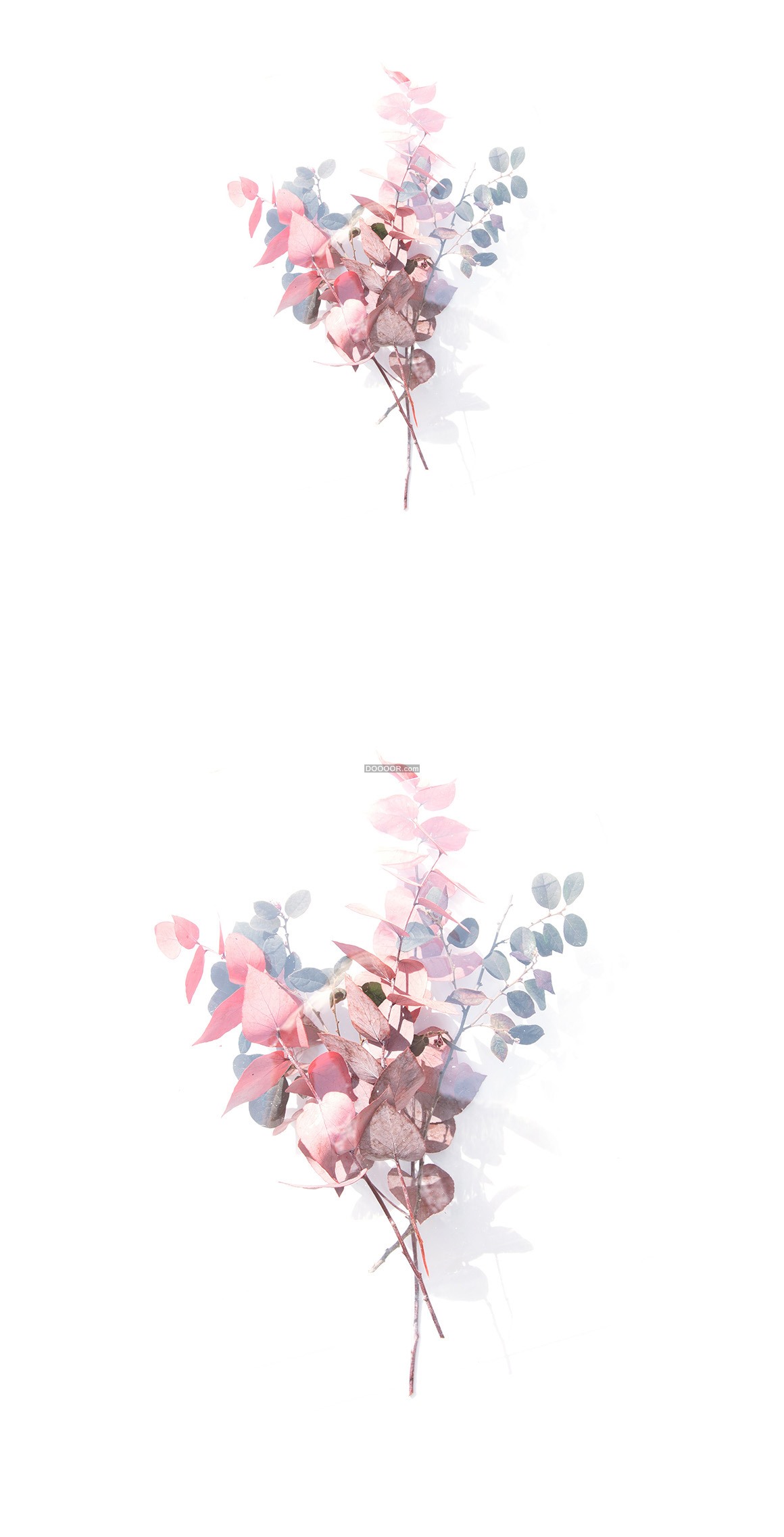 05265_多彩的素静的插花艺术作品植物素材设计.jpg