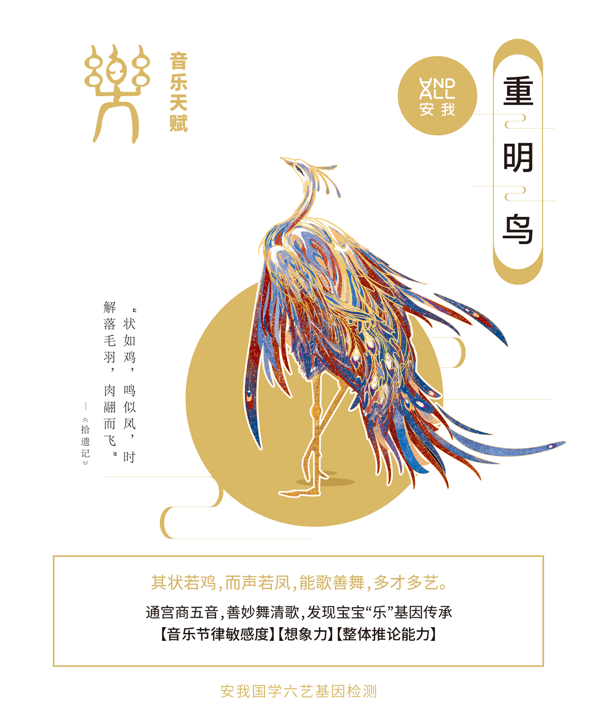 安我基因国学六艺 (22).png
