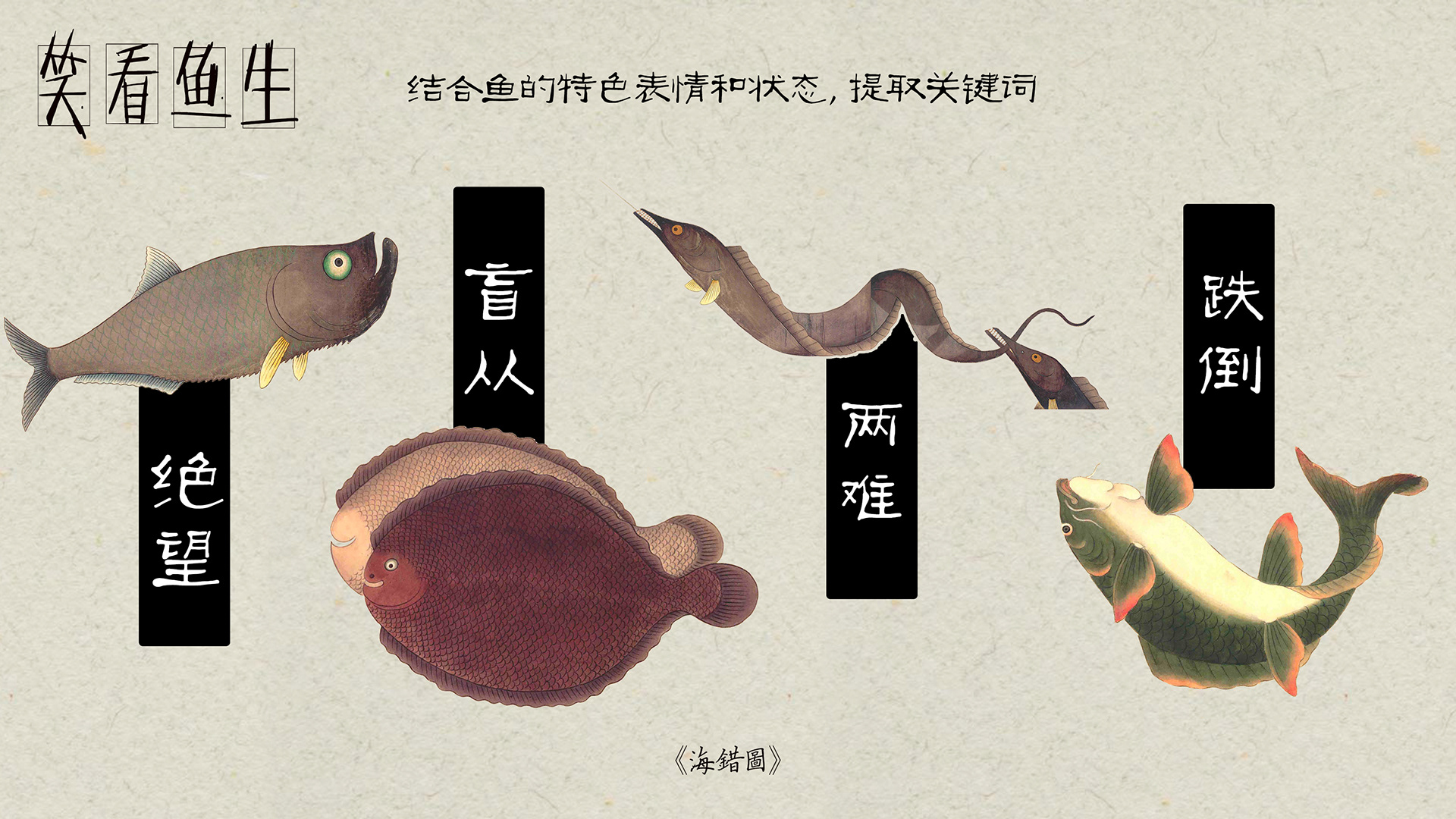 笑看鱼生卡通角色设定 (3).jpg