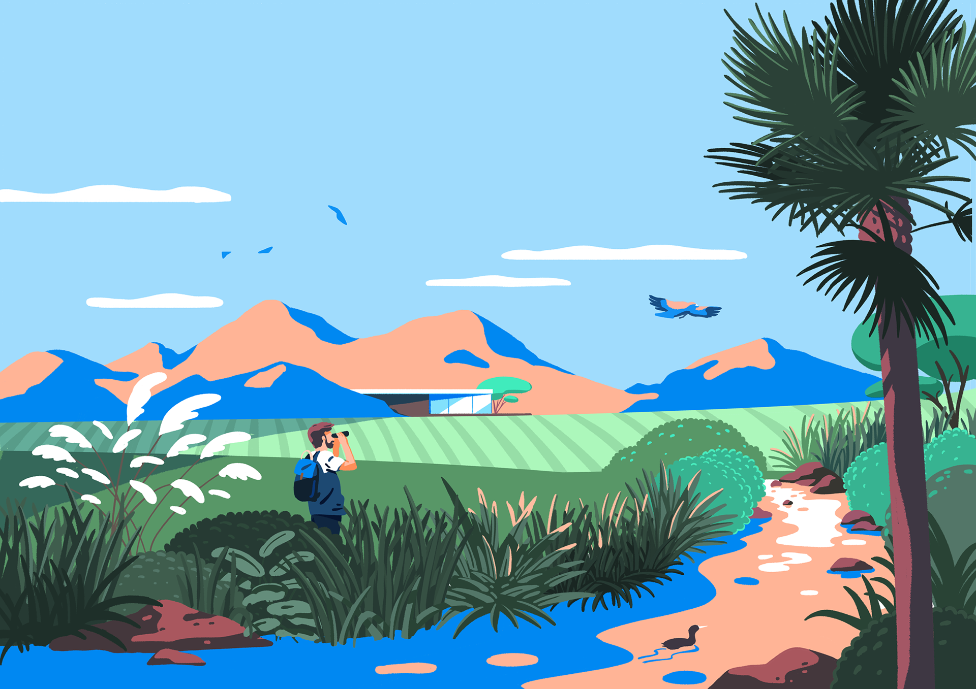各种插图 (6).png