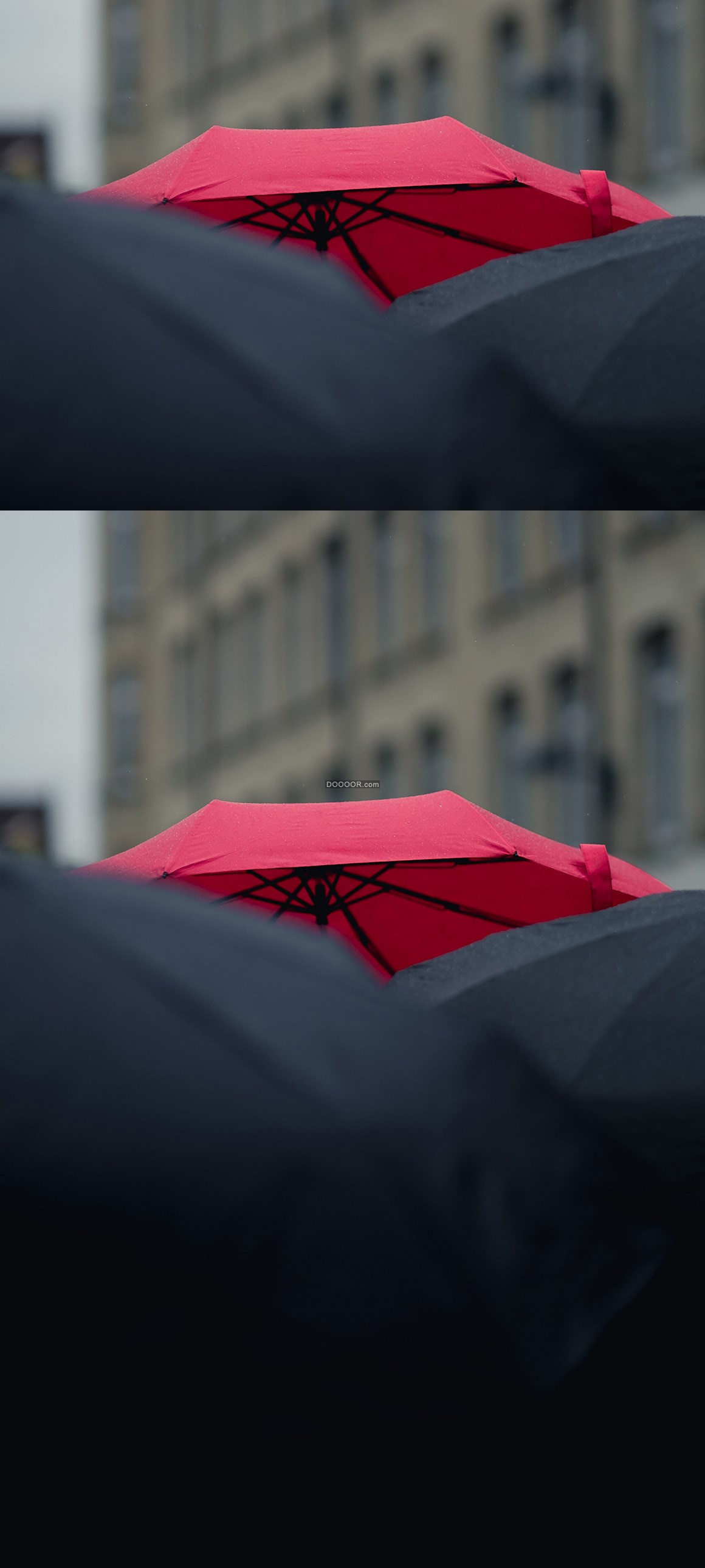 05505_一把粉色的雨伞突兀地出现在黑伞中间背景花纹素材设计.jpg