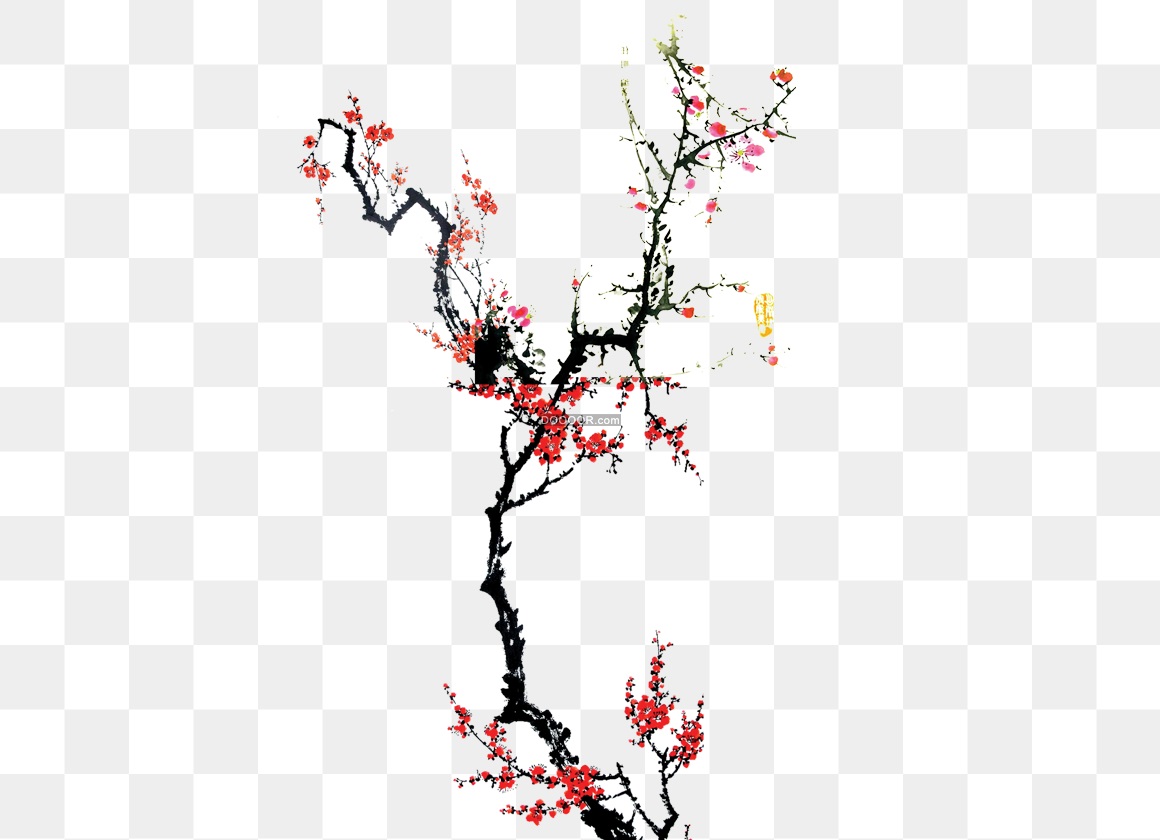 02924_中国风凌寒绽放的梅花图透明PNG素材.jpg