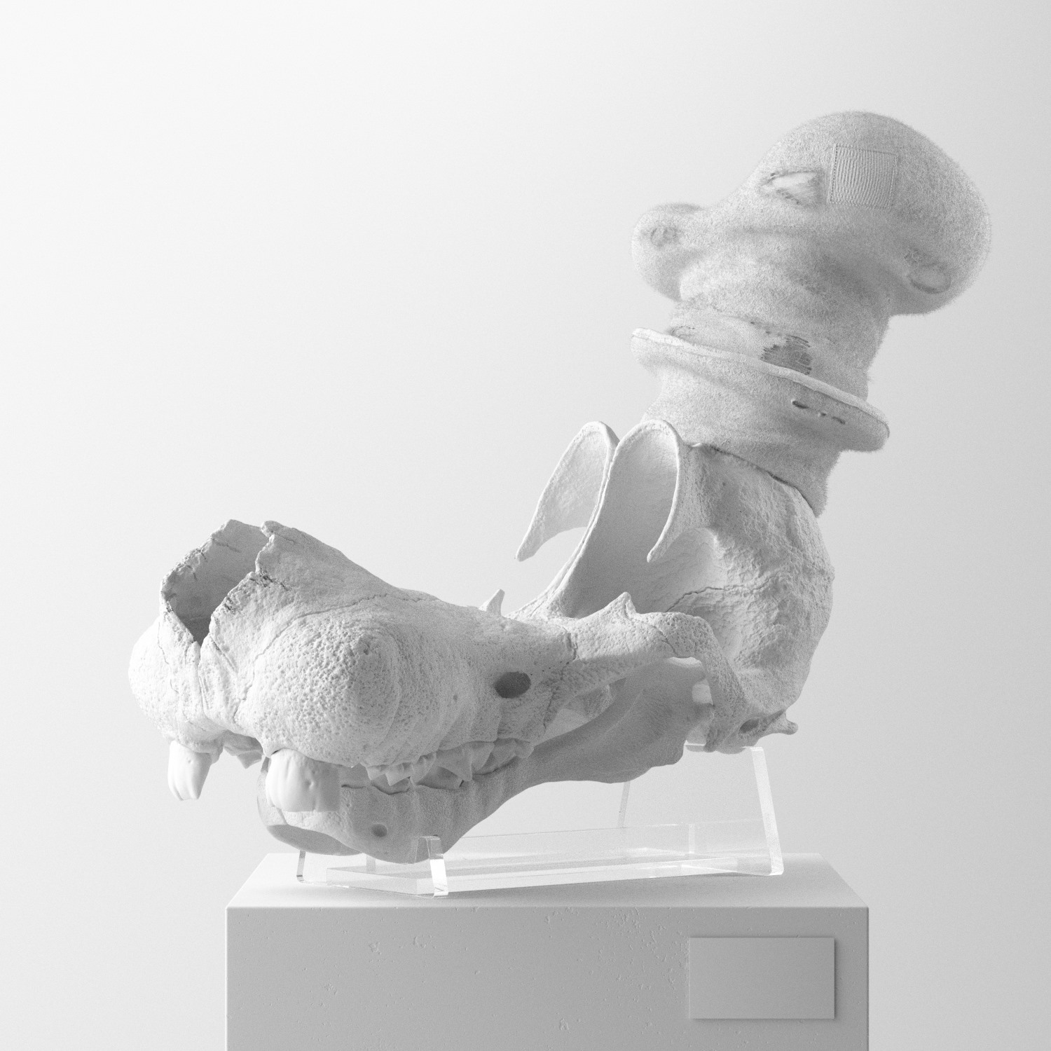 卡通明星的头骨化石-捷克共和国Filip Hodas [19P] 3.jpg