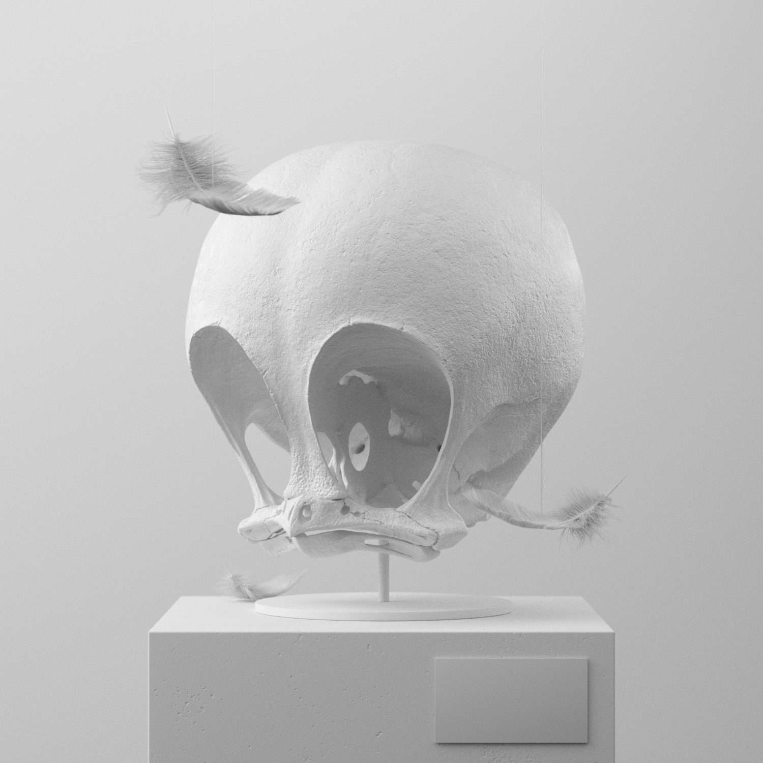 卡通明星的头骨化石-捷克共和国Filip Hodas [19P] 18.jpg