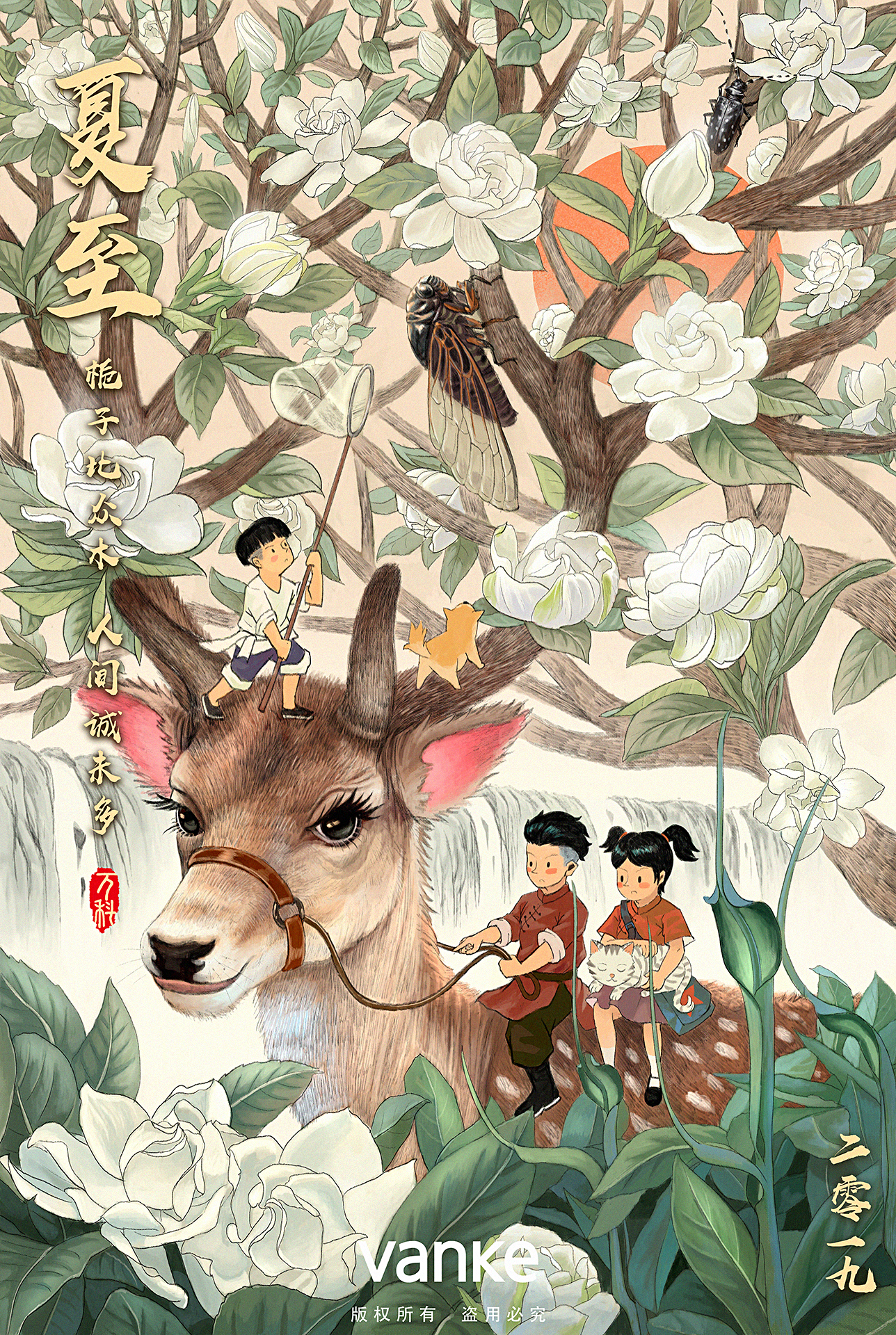 夏至.jpg