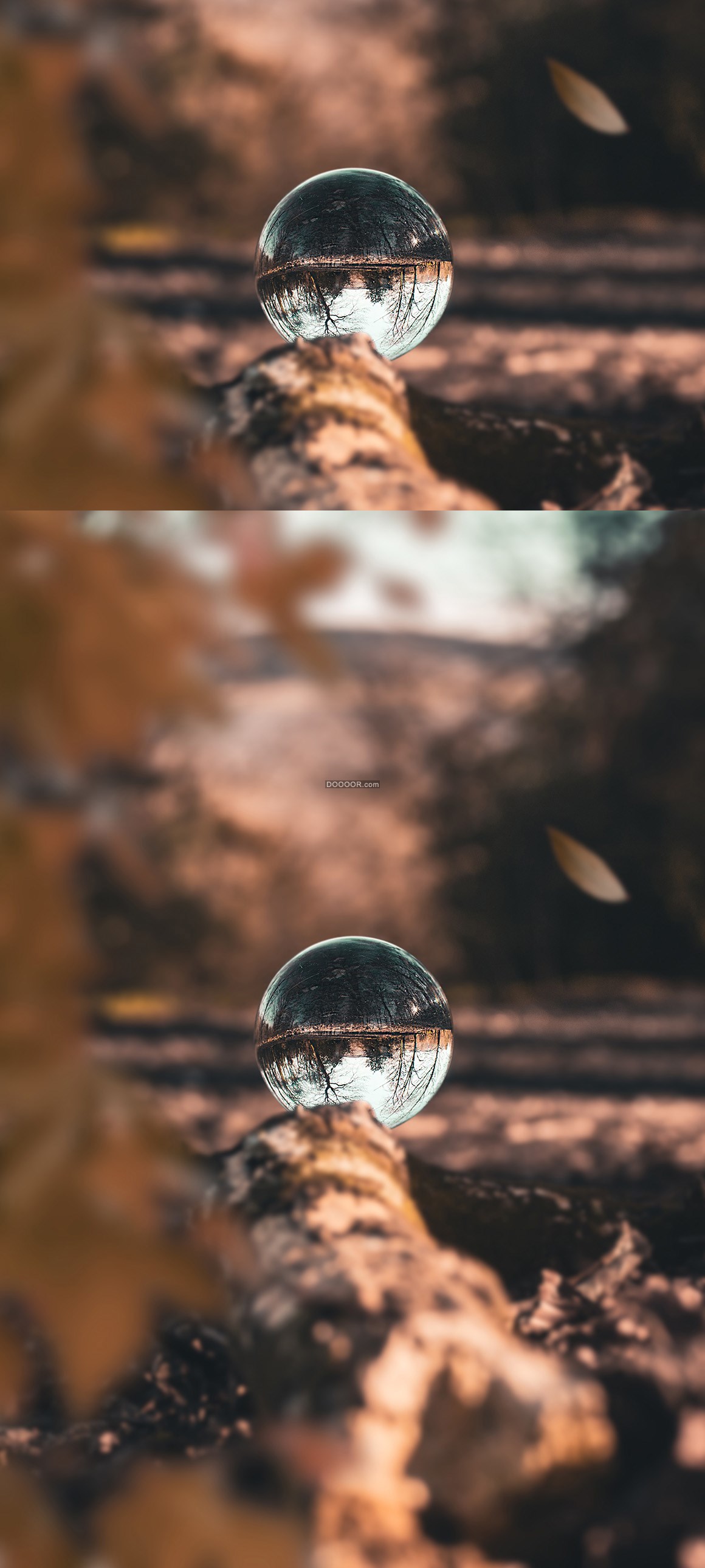 05583_透过透明的水晶球看到远方倒立的景象自然风景素材设计.jpg