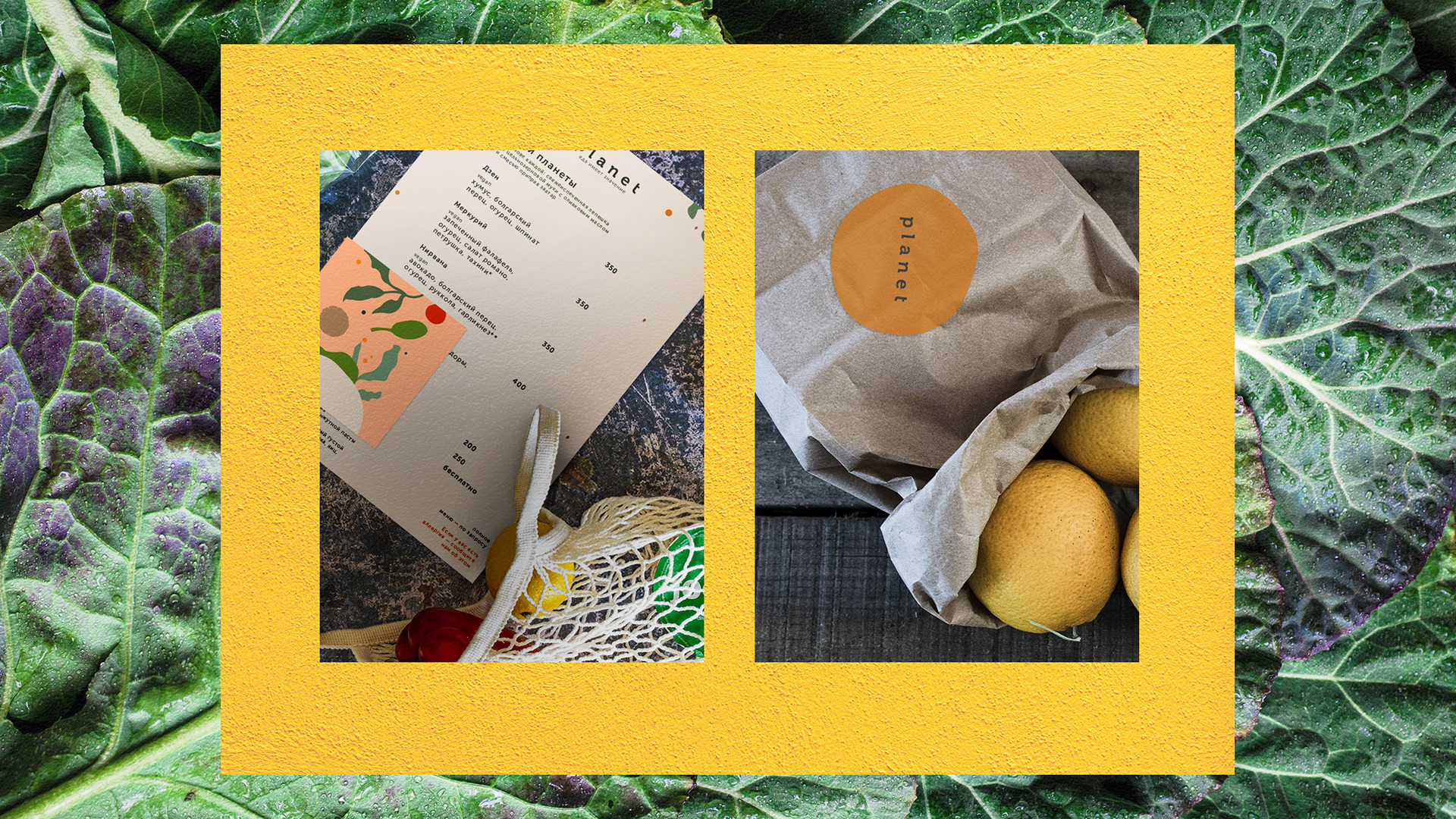 VI品牌形象设计 (1).jpg