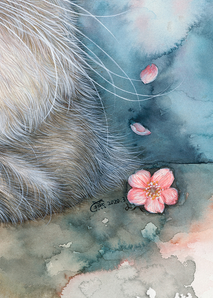 《八仙九猫》肥宅猫插画系列  (9).jpg