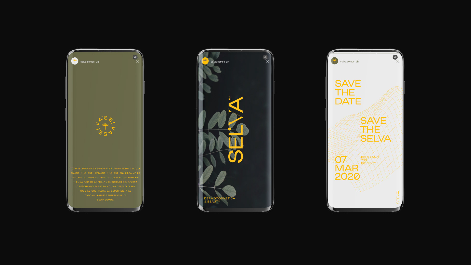 Selva化妆品·品牌 (15).jpg