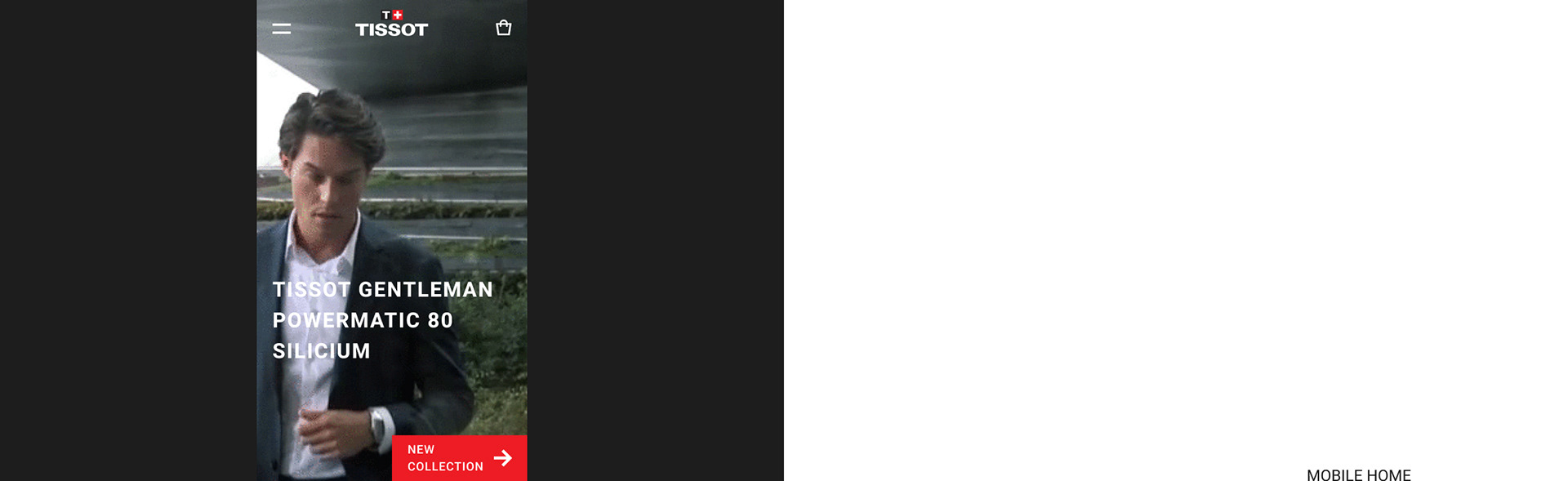 a529cb95679823.5ea42be858d64.jpg