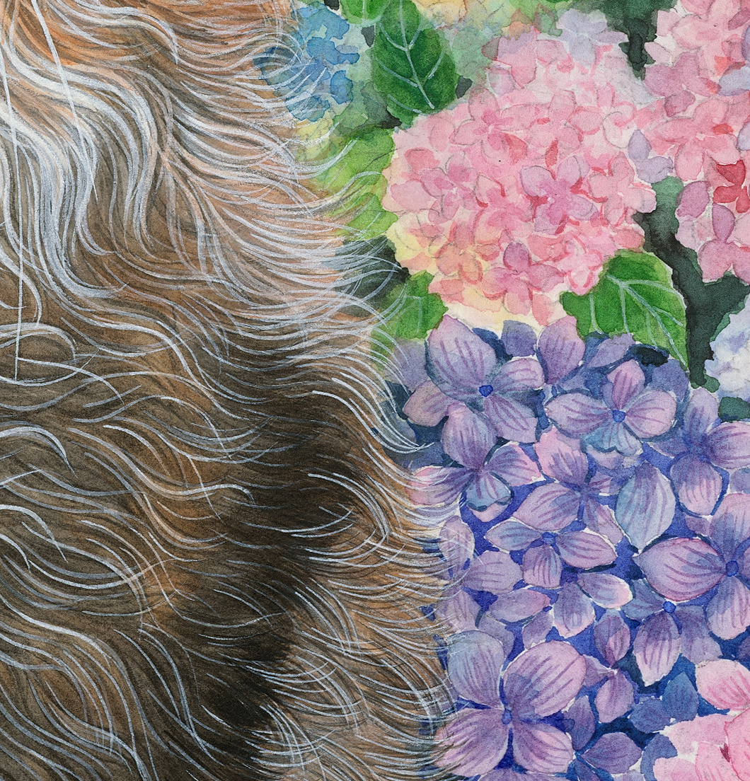 《八仙九猫》水彩插画系列  (19).jpg