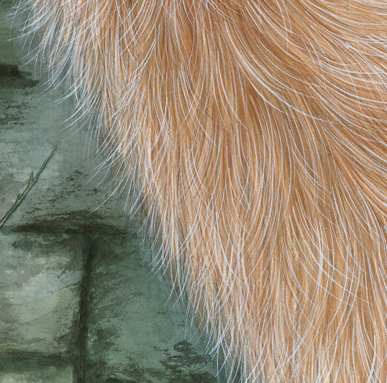《八仙九猫》水彩插画系列  (23).jpg