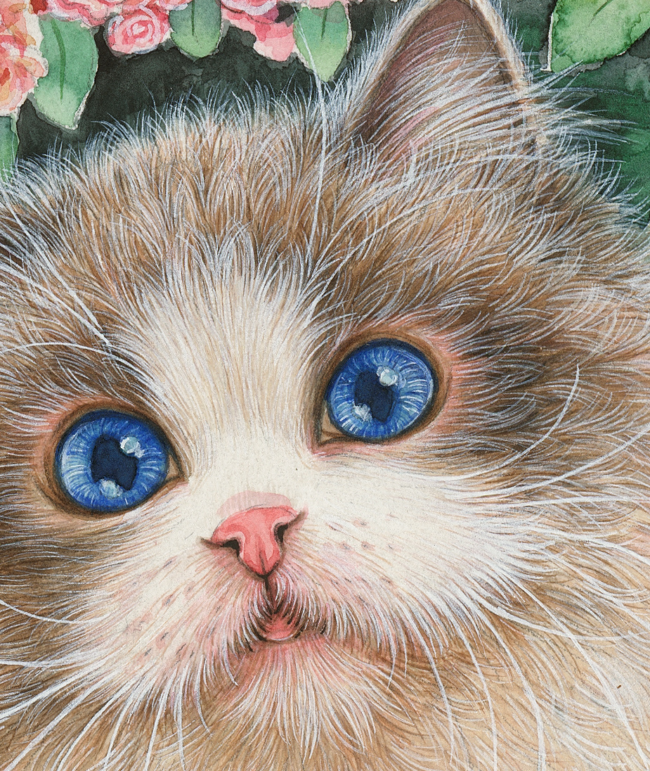 《八仙九猫》水彩插画系列  (26).jpg