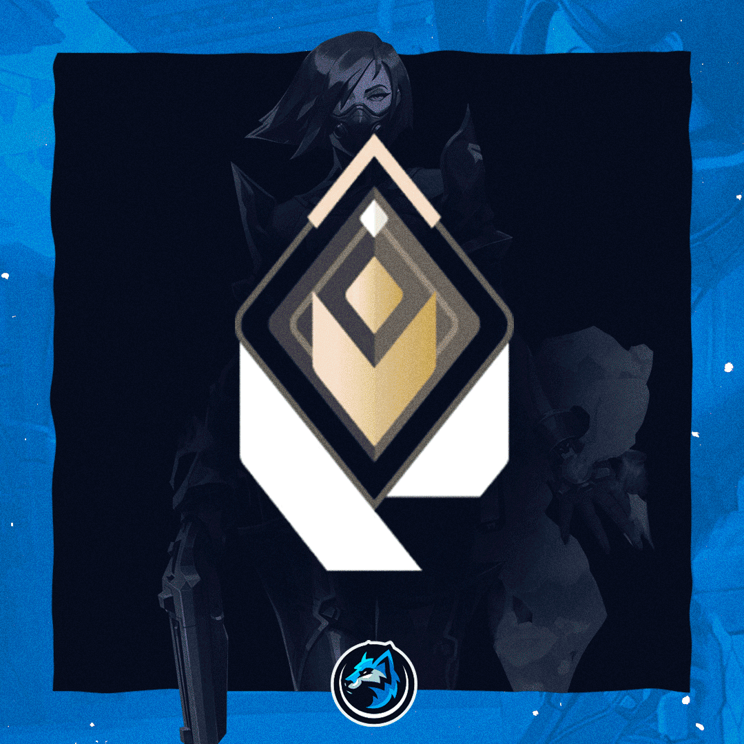 极地ACE (2).gif