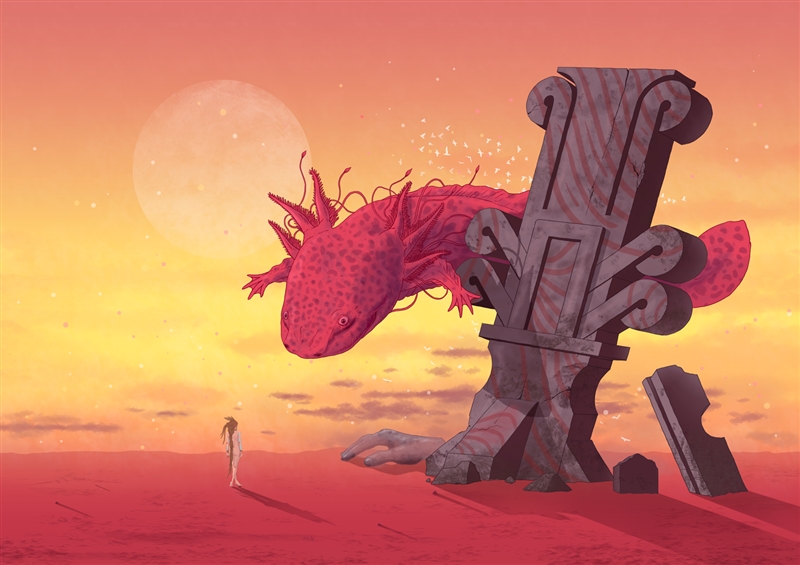 契诺图解丛书 (11).jpg