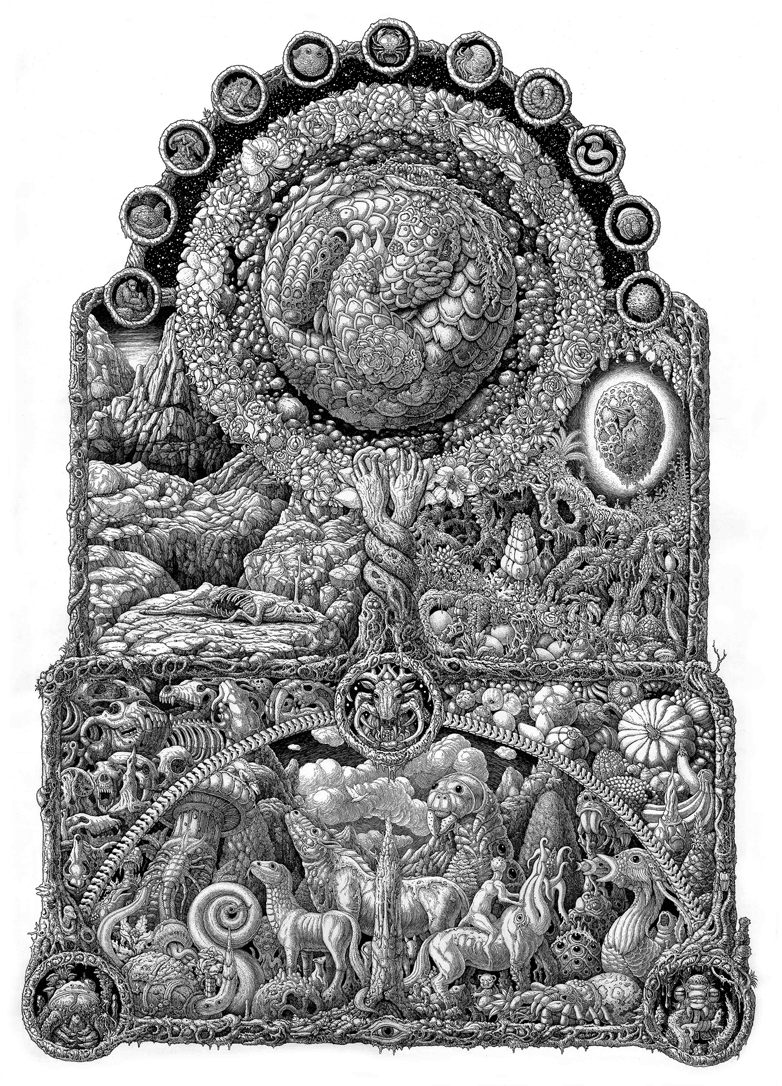 大自然钢笔绘插画 (1).jpg