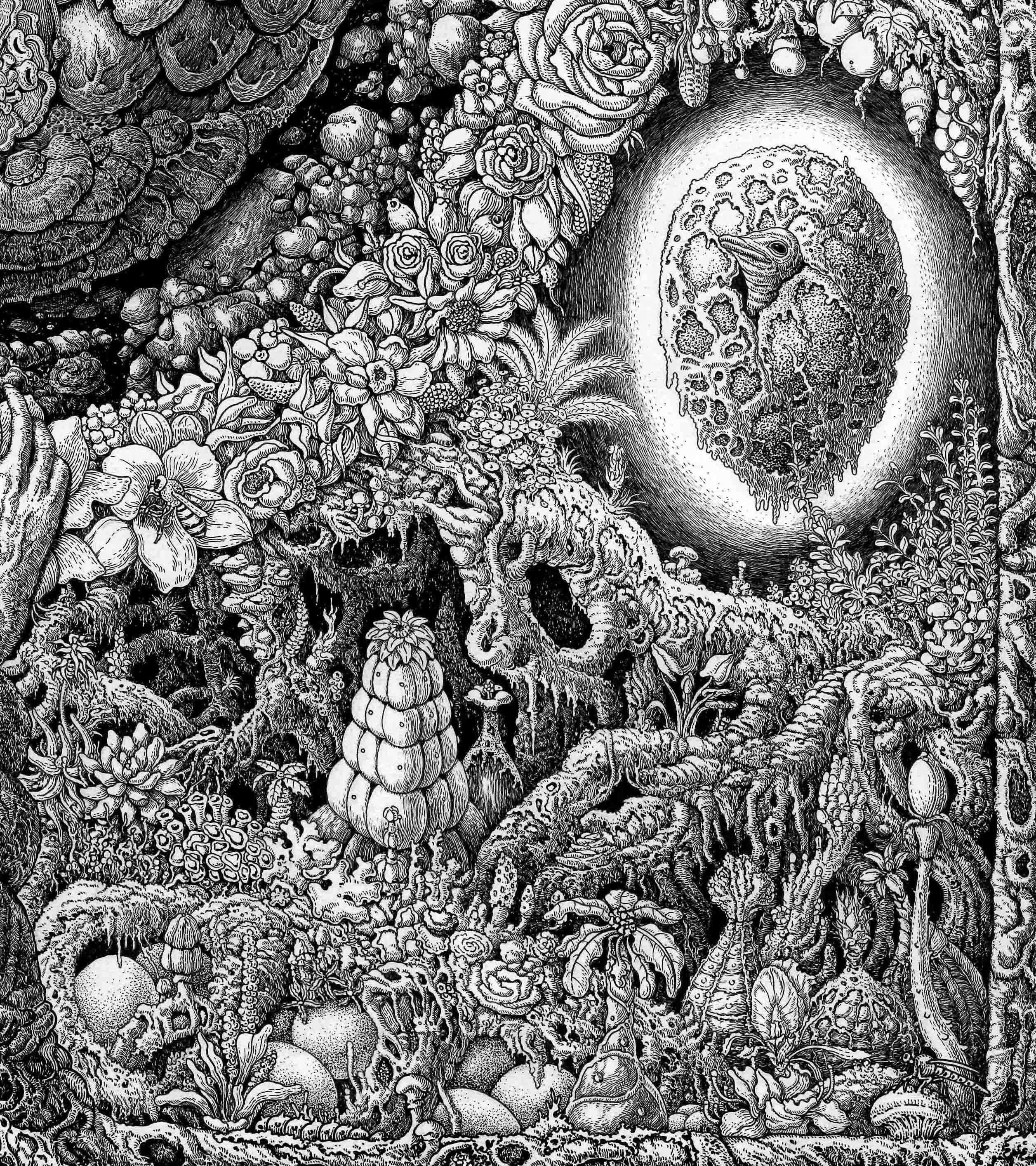 大自然钢笔绘插画 (2).jpg