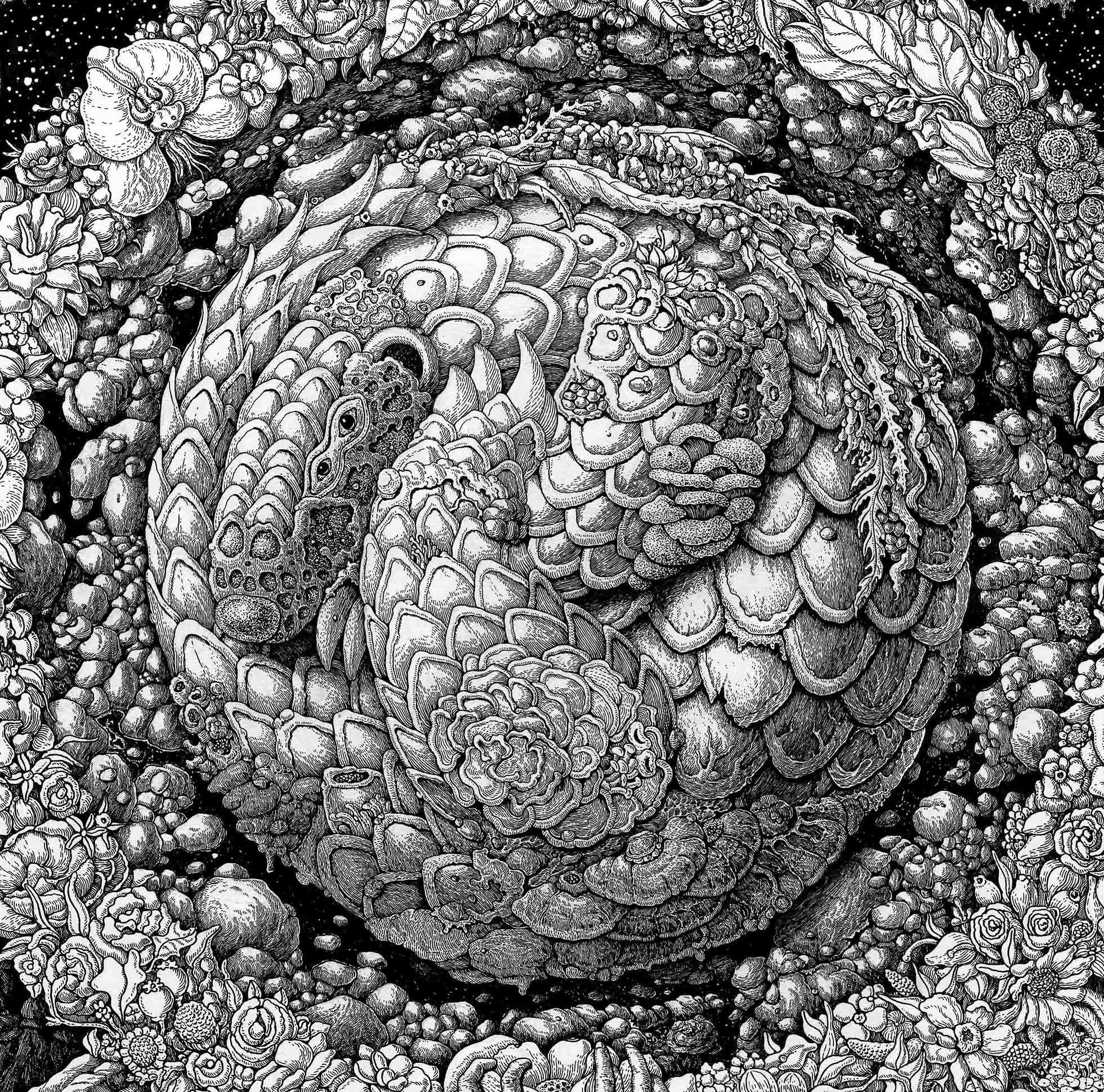 大自然钢笔绘插画 (3).jpg