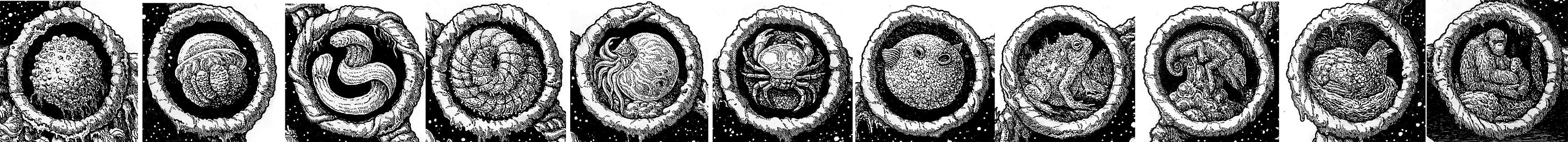大自然钢笔绘插画 (7).jpg