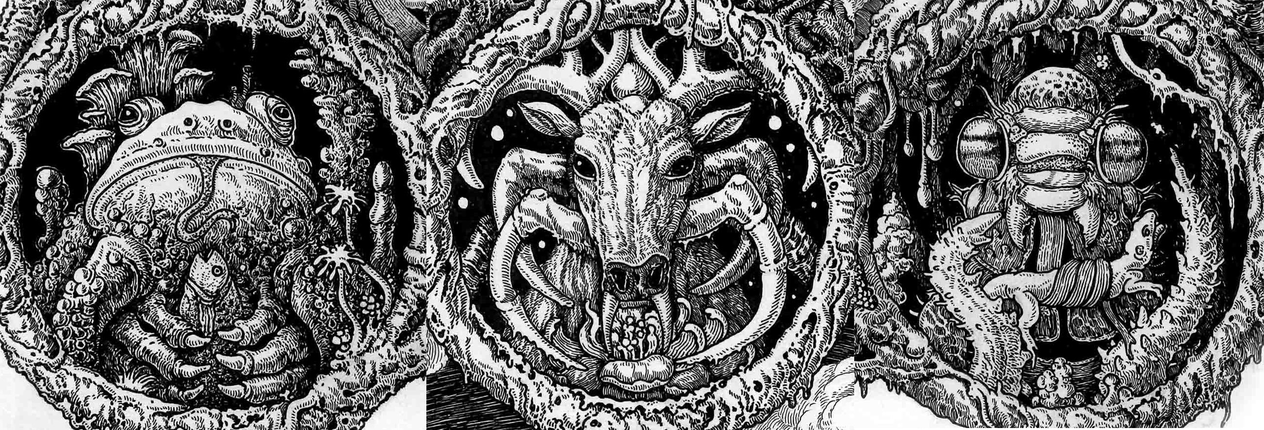 大自然钢笔绘插画 (9).jpg