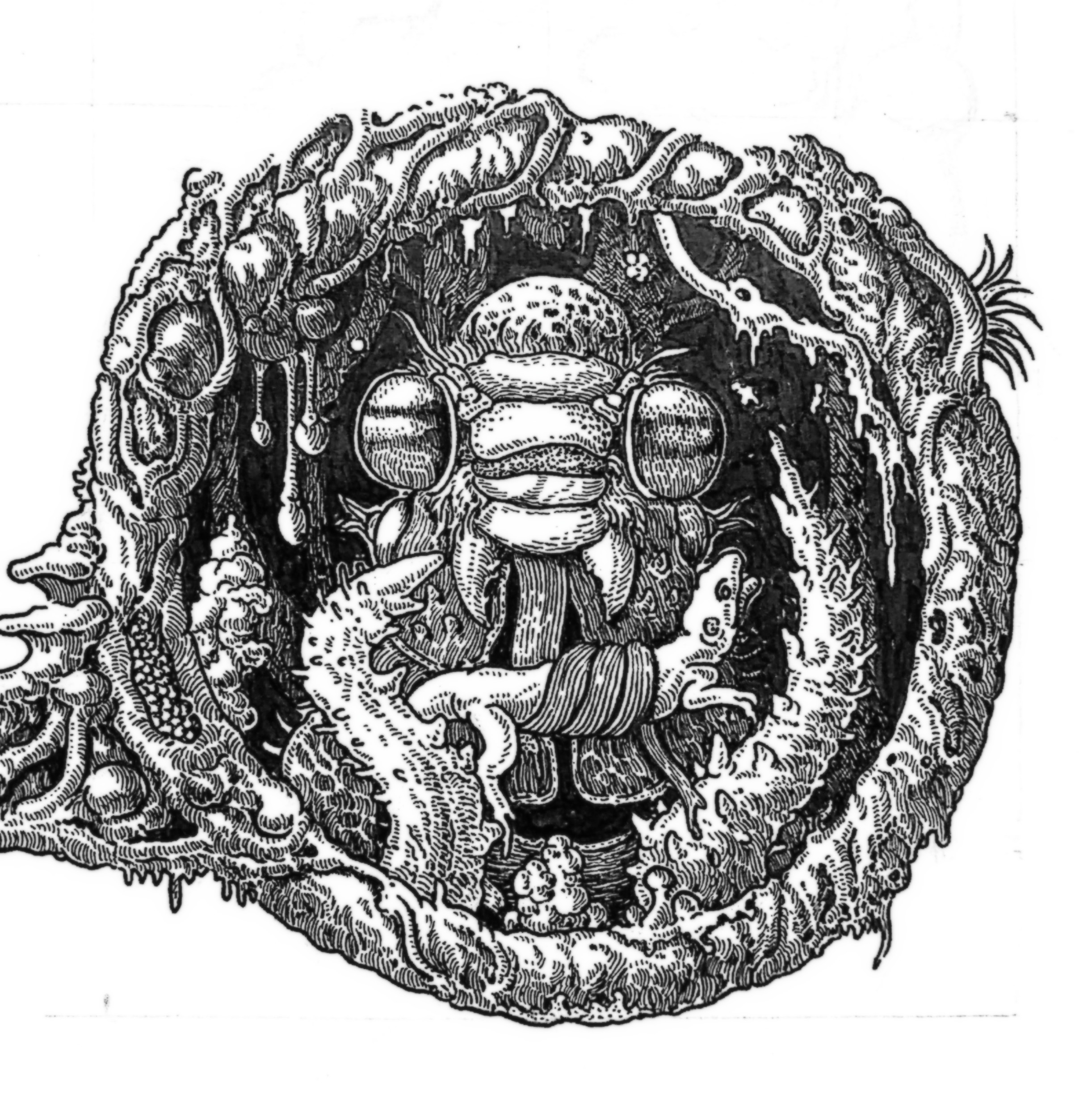 大自然钢笔绘插画 (12).jpg