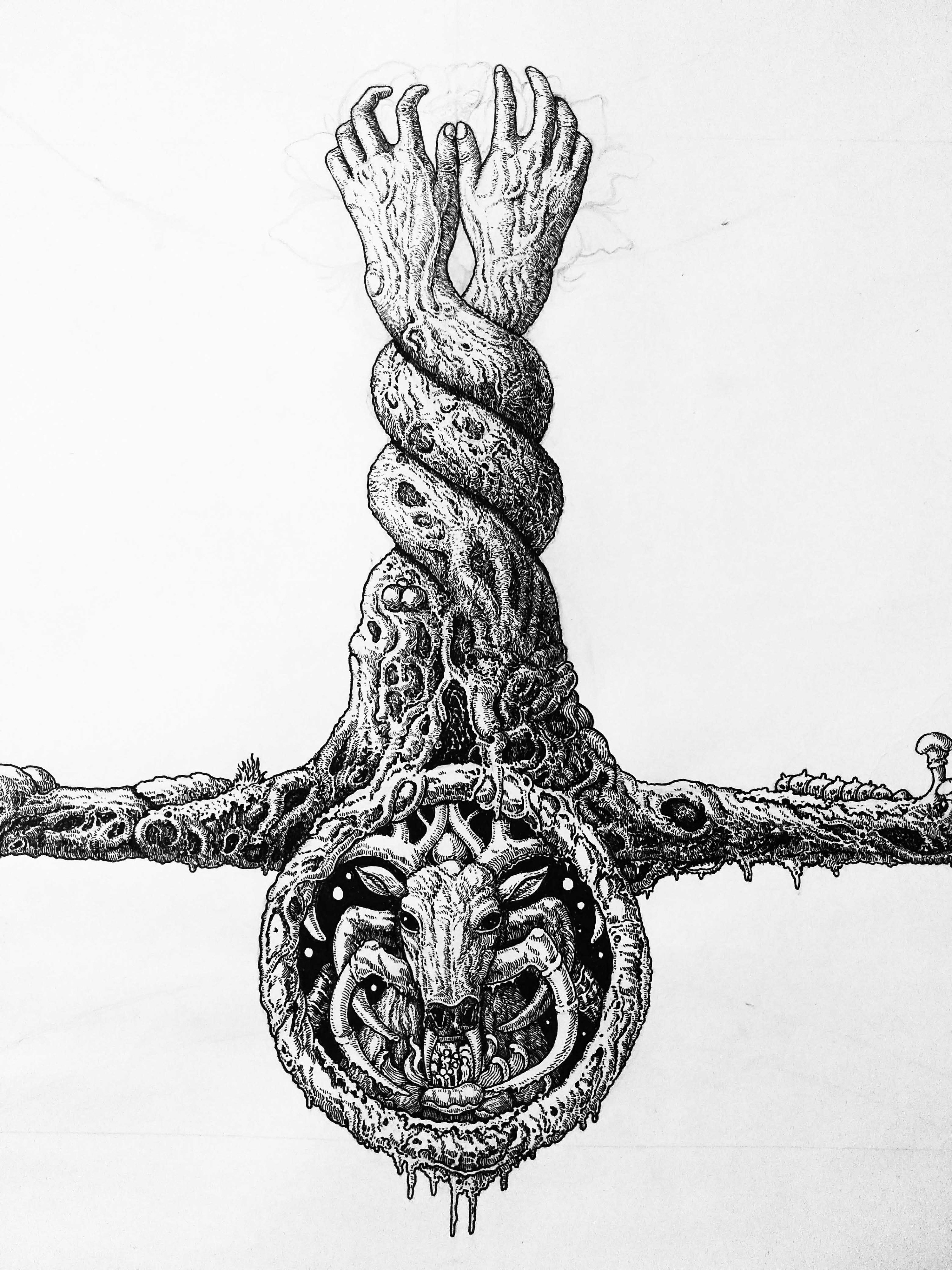 大自然钢笔绘插画 (13).jpg
