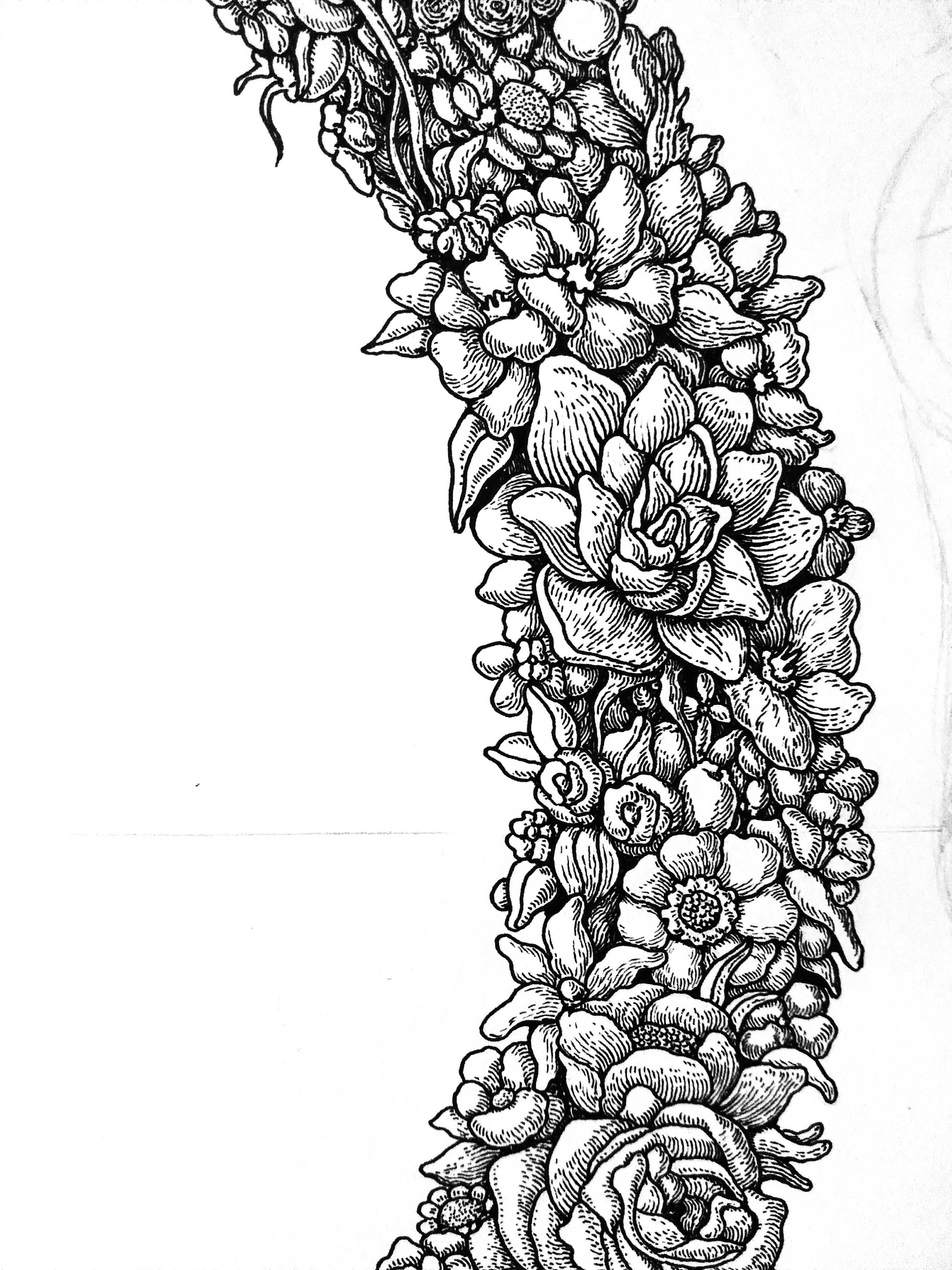 大自然钢笔绘插画 (15).jpg