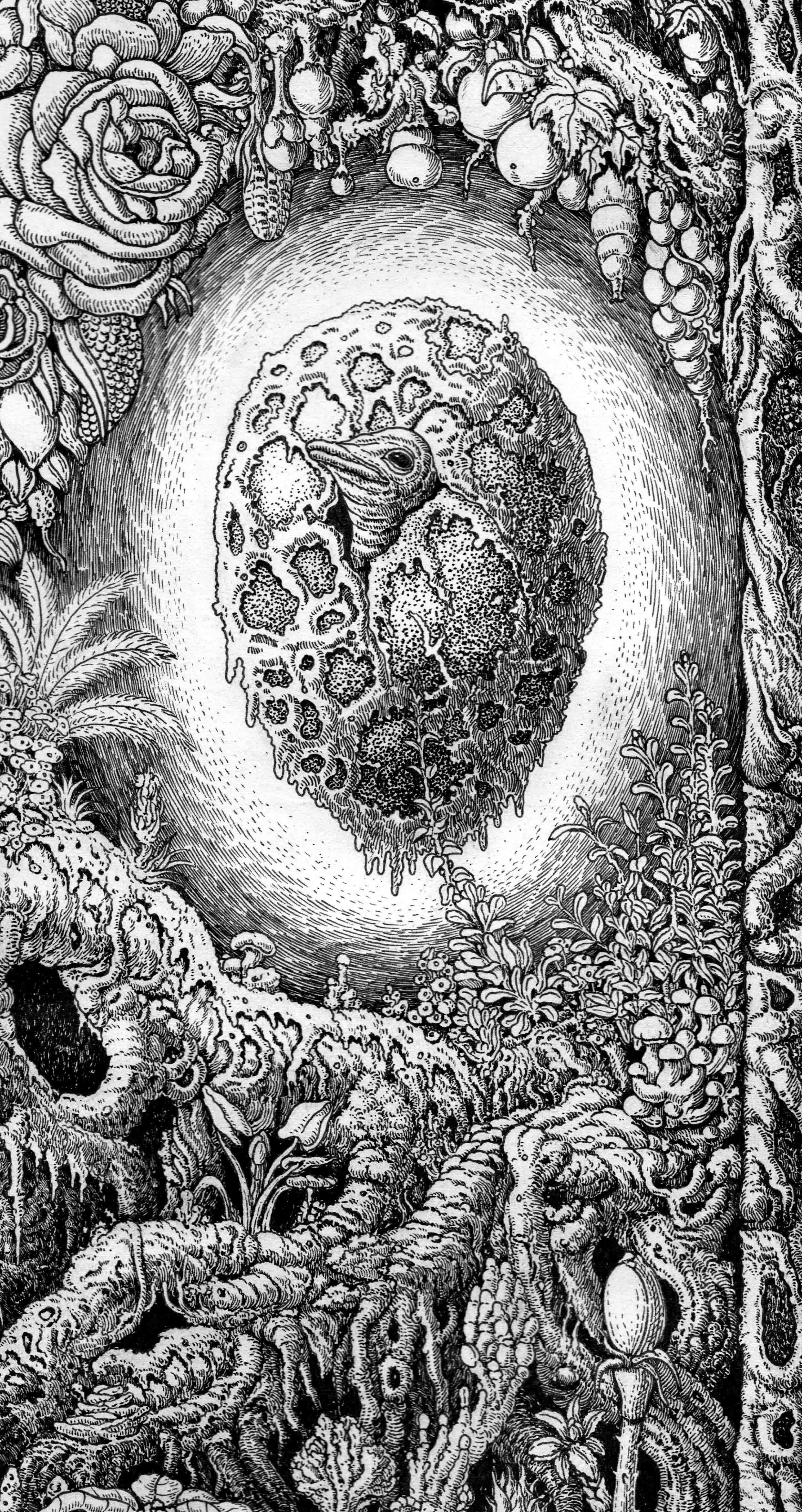 大自然钢笔绘插画 (18).jpg