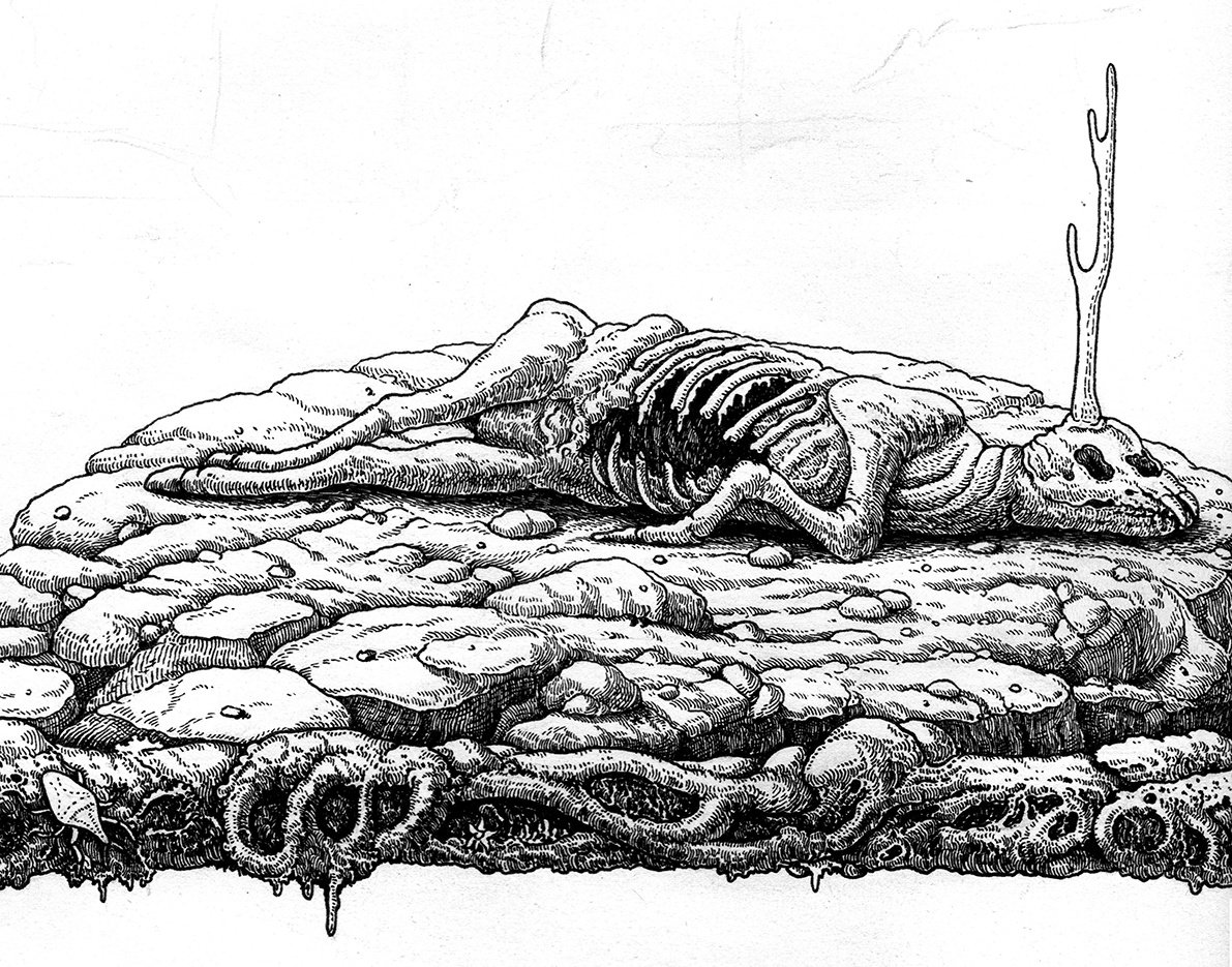 大自然钢笔绘插画 (20).jpg