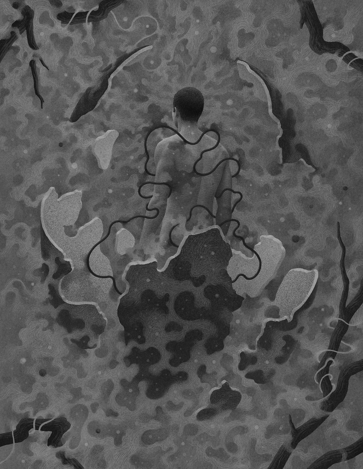 插画 (14).jpg