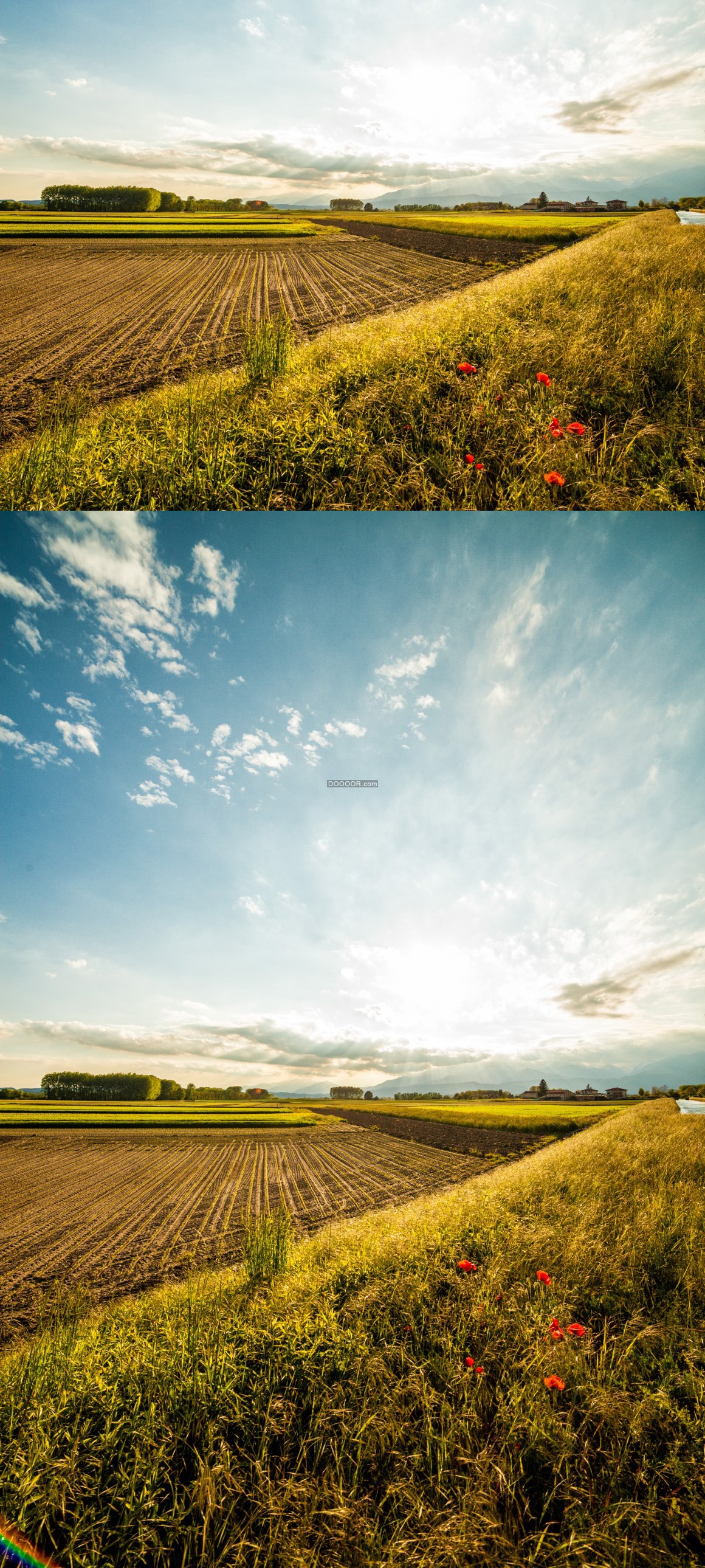 06767_乡村景色绿色的农田晴朗的天空自然清新.jpg