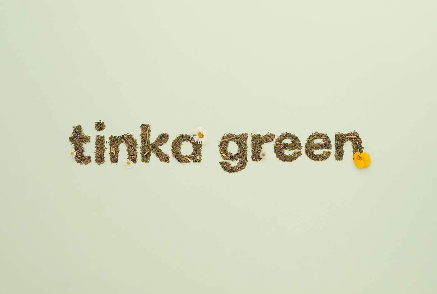 Tinka Green (2).jpg