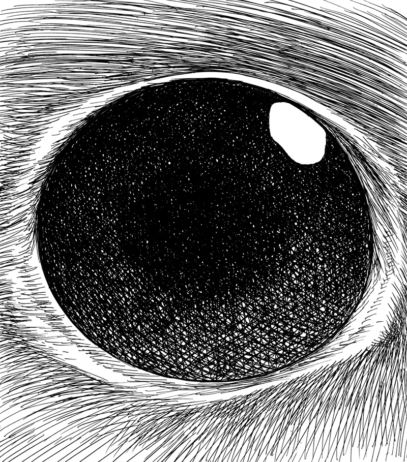 暗黑板绘插画合集欣赏 (25).jpg