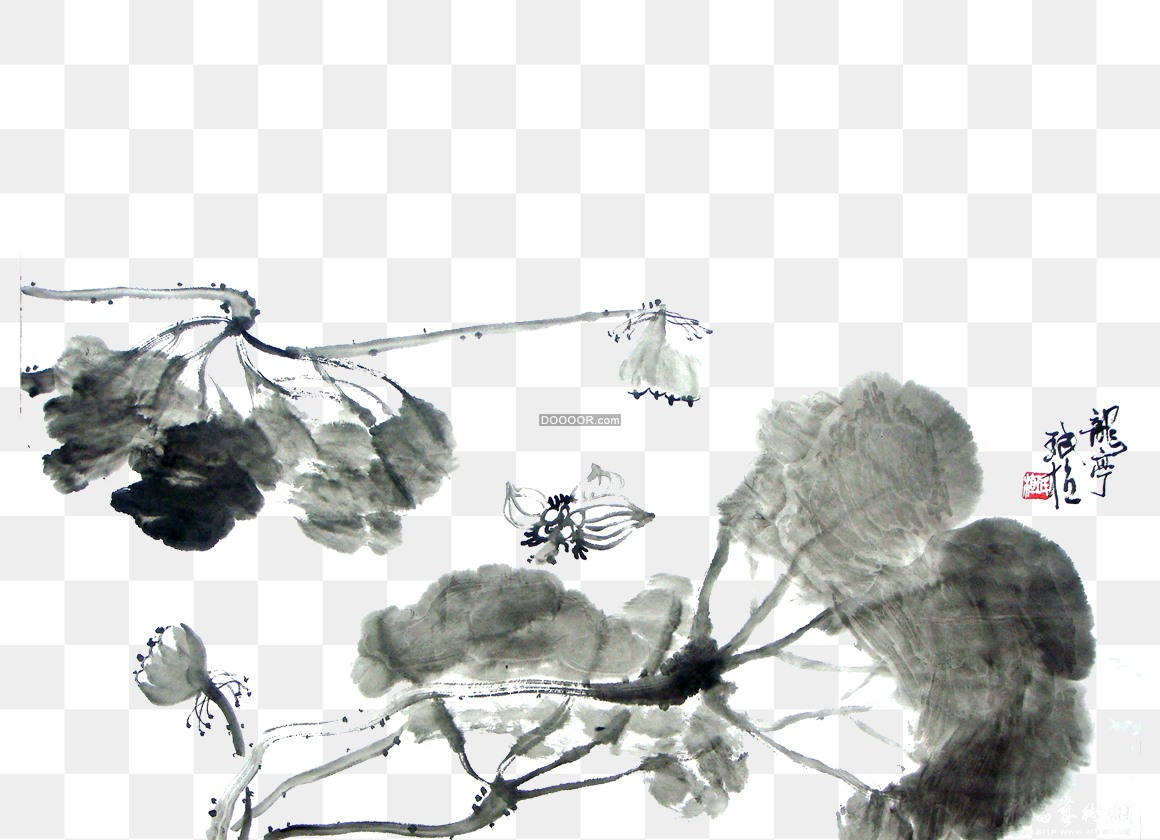 03194_中国风水墨画绽放的花朵茎叶枝干分明透明PNG素材.jpg