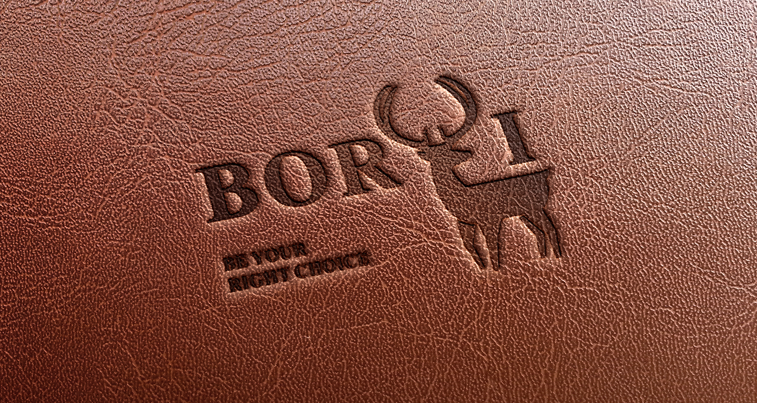 1_0015_borui.jpg