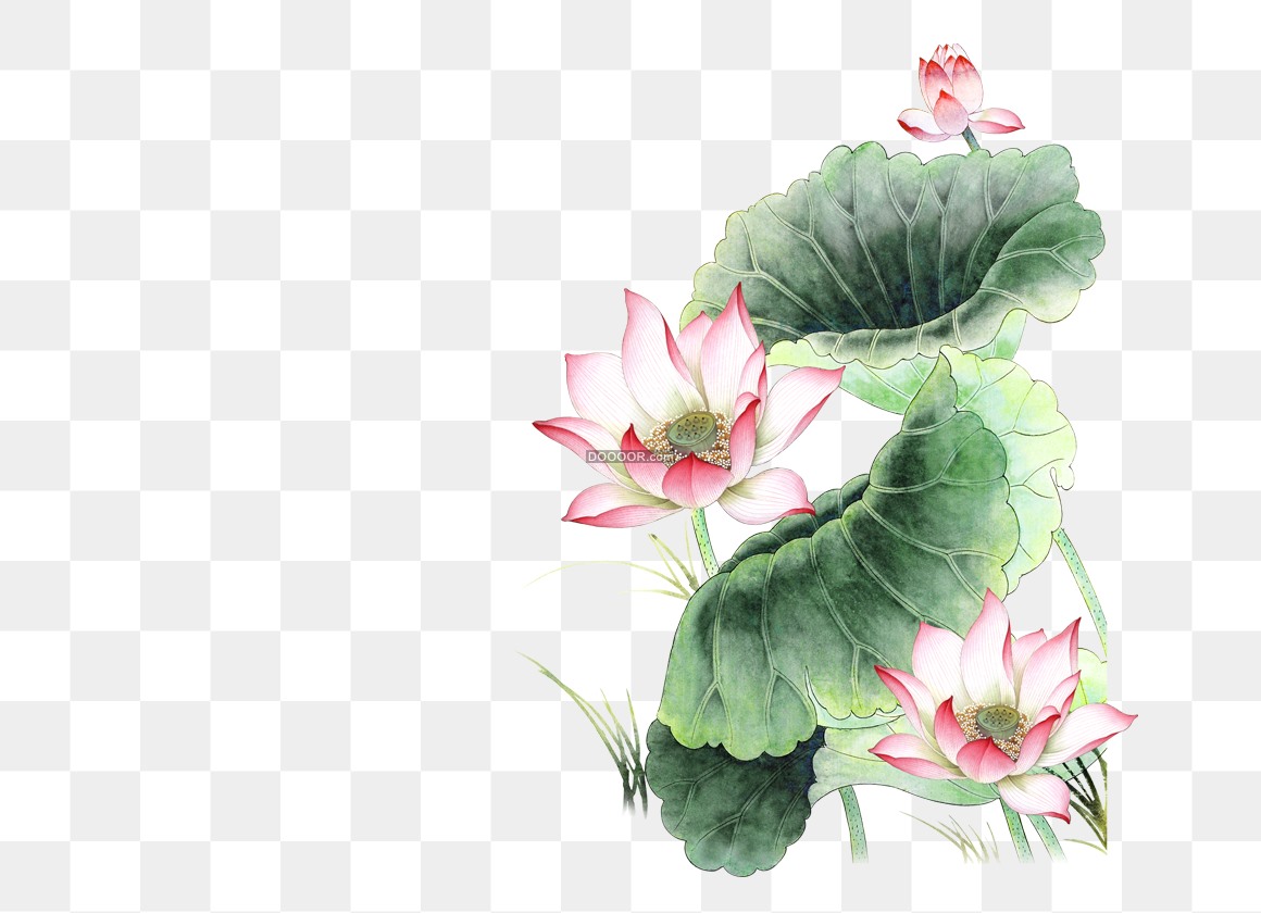 03403_中国风水彩画粉色的荷花绿色的荷叶生机盎然高清PNG素材.jpg