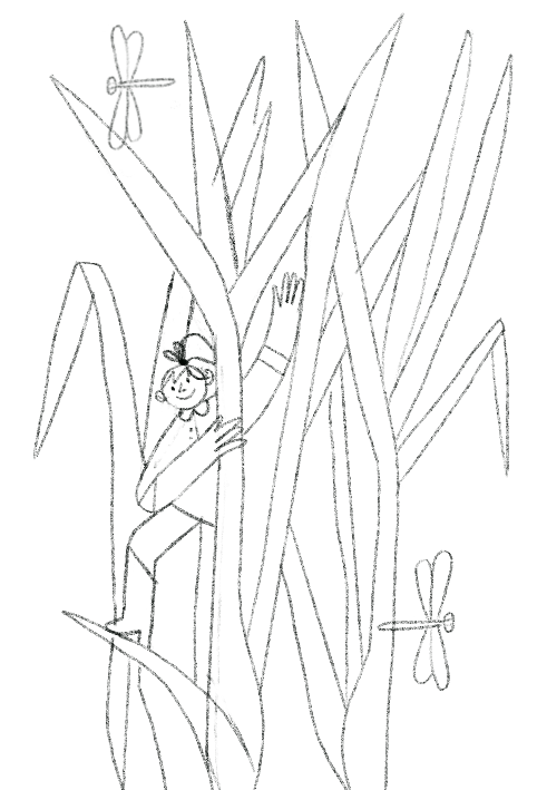 Garnier Bio包装-07.png