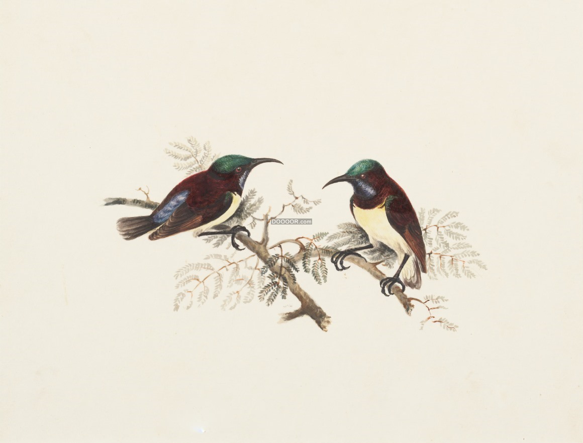 07604_两只鸟儿在树枝上鸣叫栩栩如生油画作品.jpg