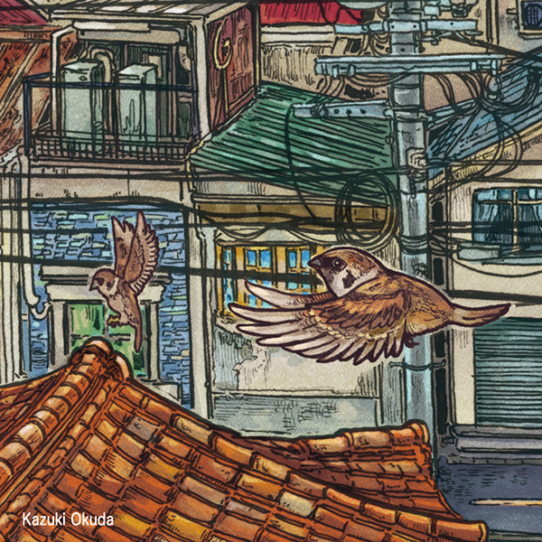笔绘插图作品-10.jpg