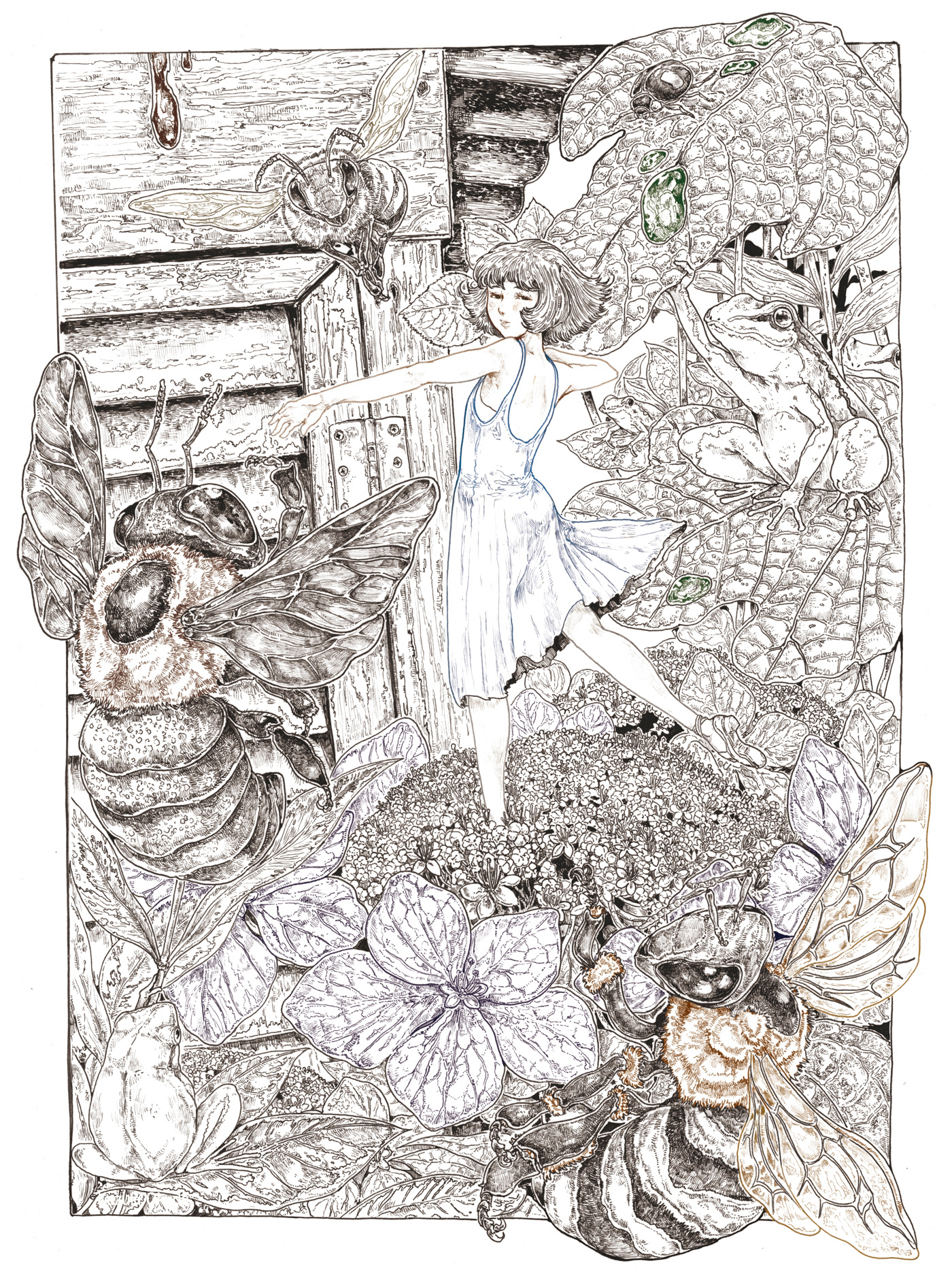 笔绘插图作品-15.jpg