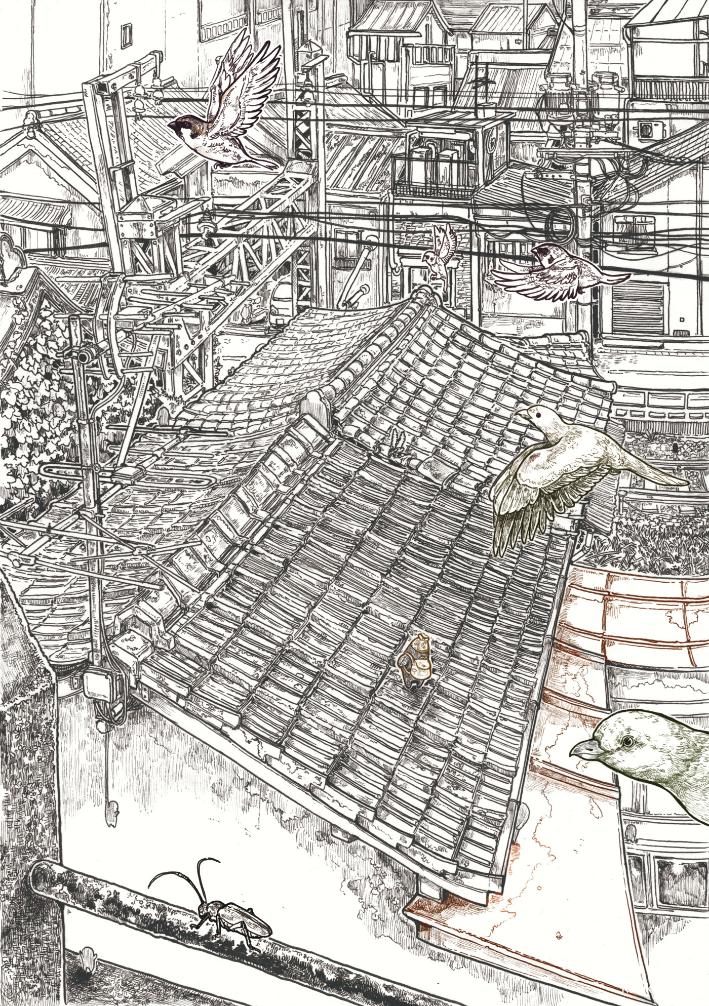 笔绘插图作品-17.jpg