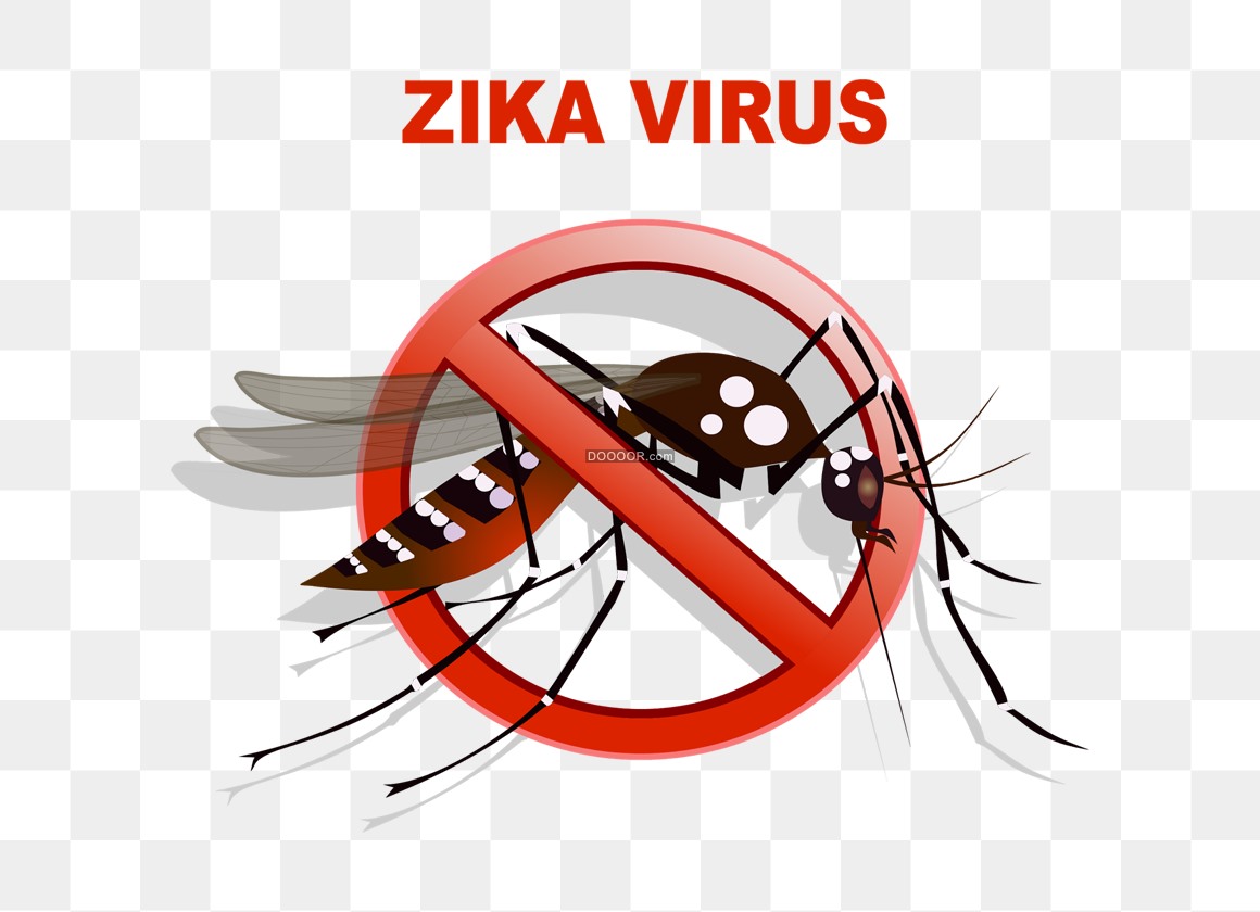 03512_蚊虫病毒传播ZIKA 禁止标识立体图像昆虫高清PNG素材.jpg