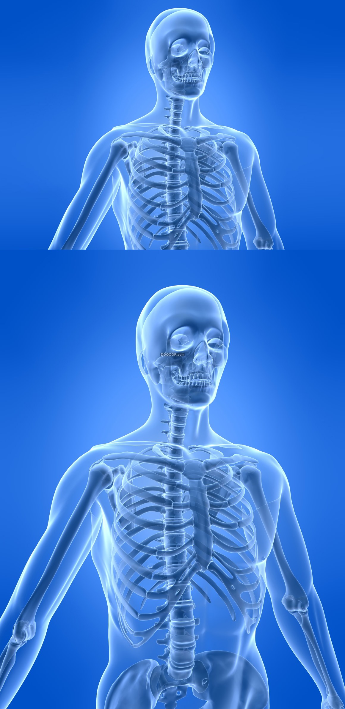 08000_人体骨骼扫描图片蓝色背景医学健康科学技术三维扫描.jpg