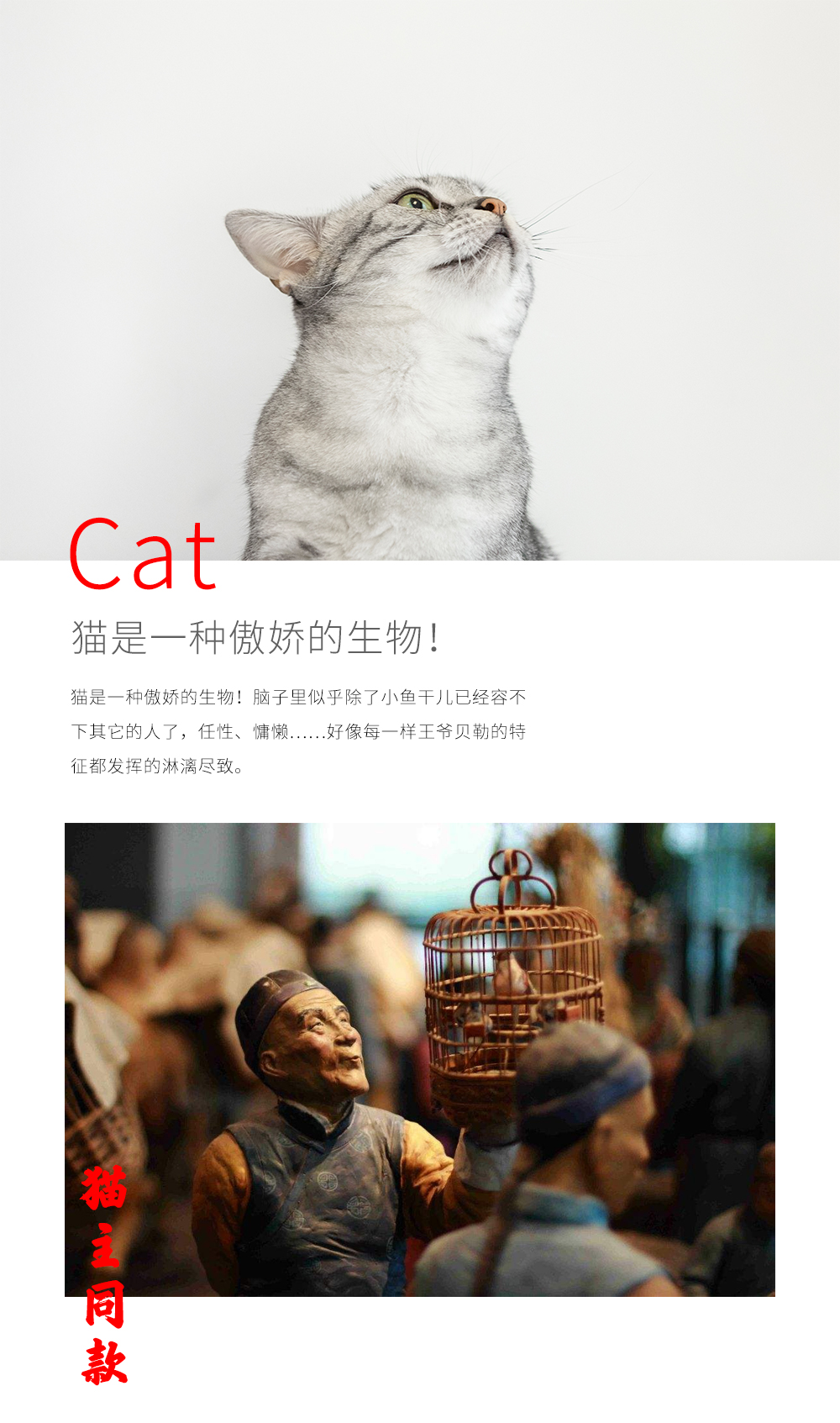 猫食包装_01.jpg