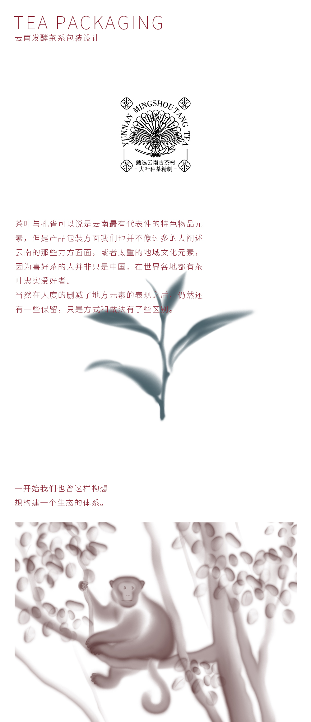 茗寿堂茶叶详情页_01.jpg