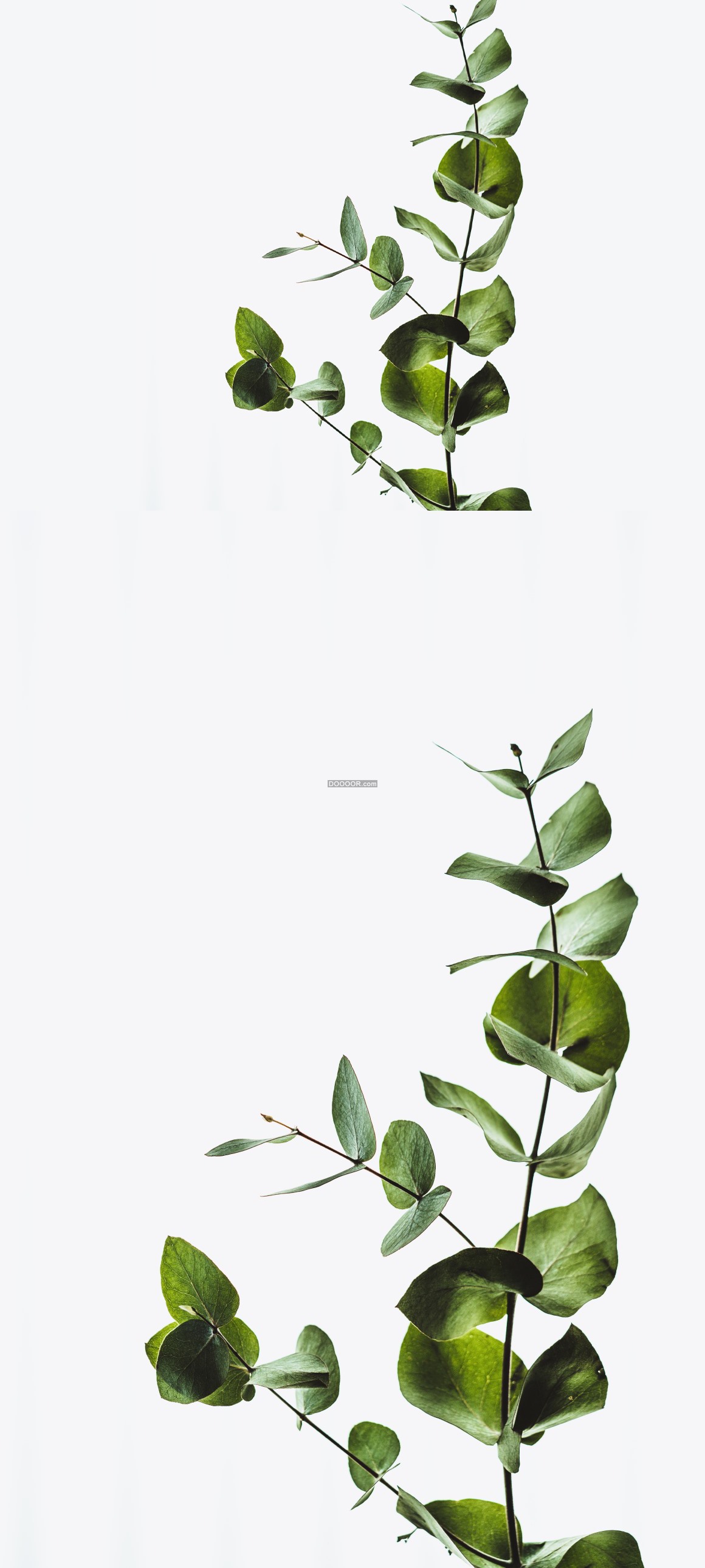 08140_温暖舒适的阳光绿色的植物欣欣向荣长势良好生命力.jpg
