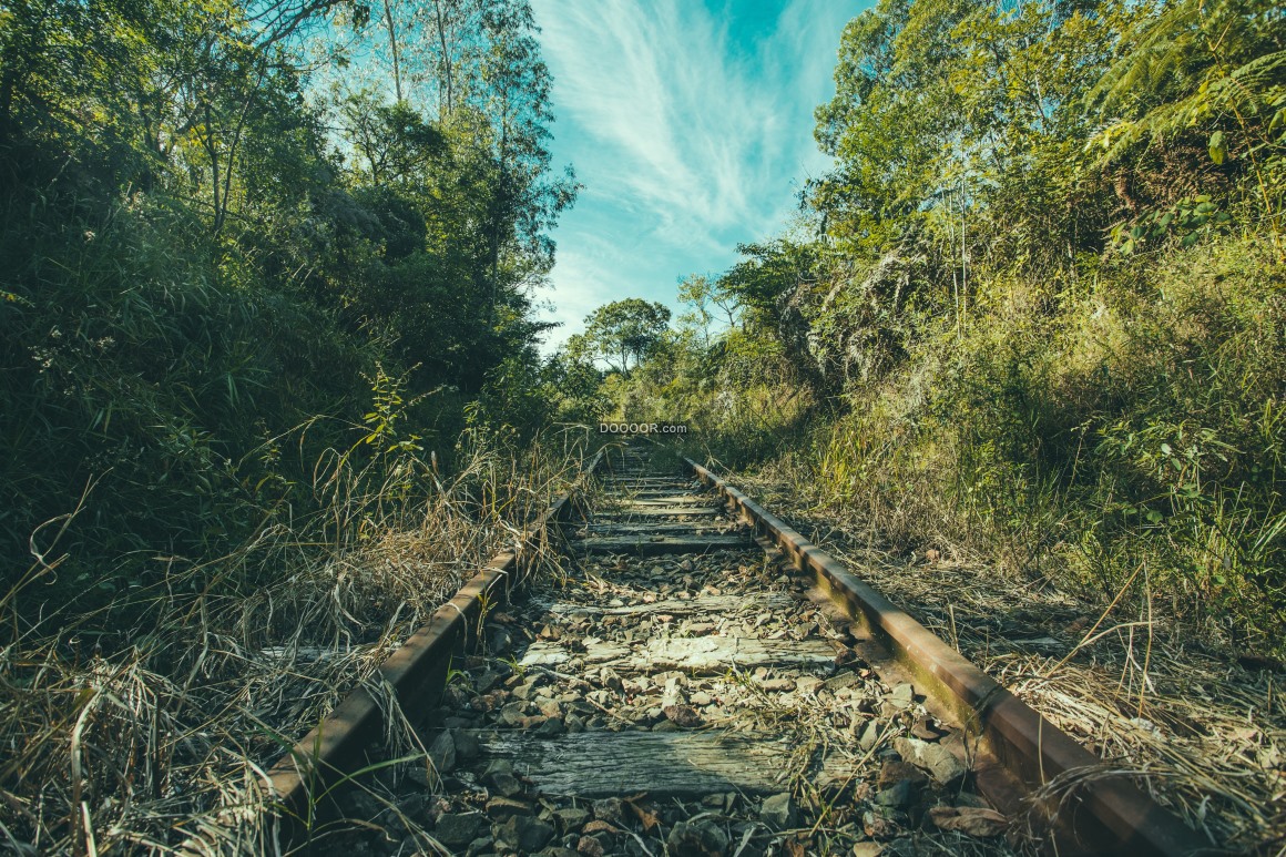 被生锈的废弃铁路，长满草圆的旧铁路向右驶去 库存图片. 图片 包括有 离开, 森林, 本质, 放弃了, 乘驾 - 208573441