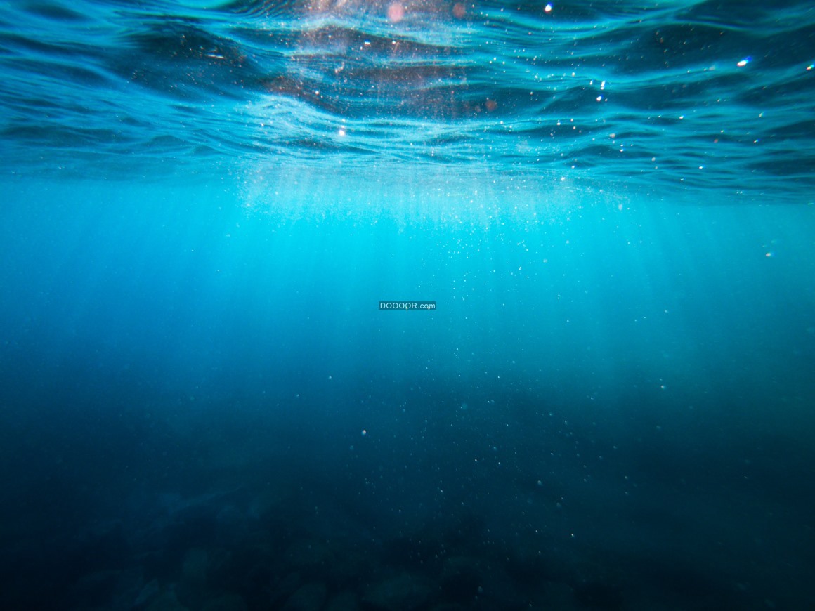 海底鱼群图片手机海底世界壁纸 ｜ 海底世界