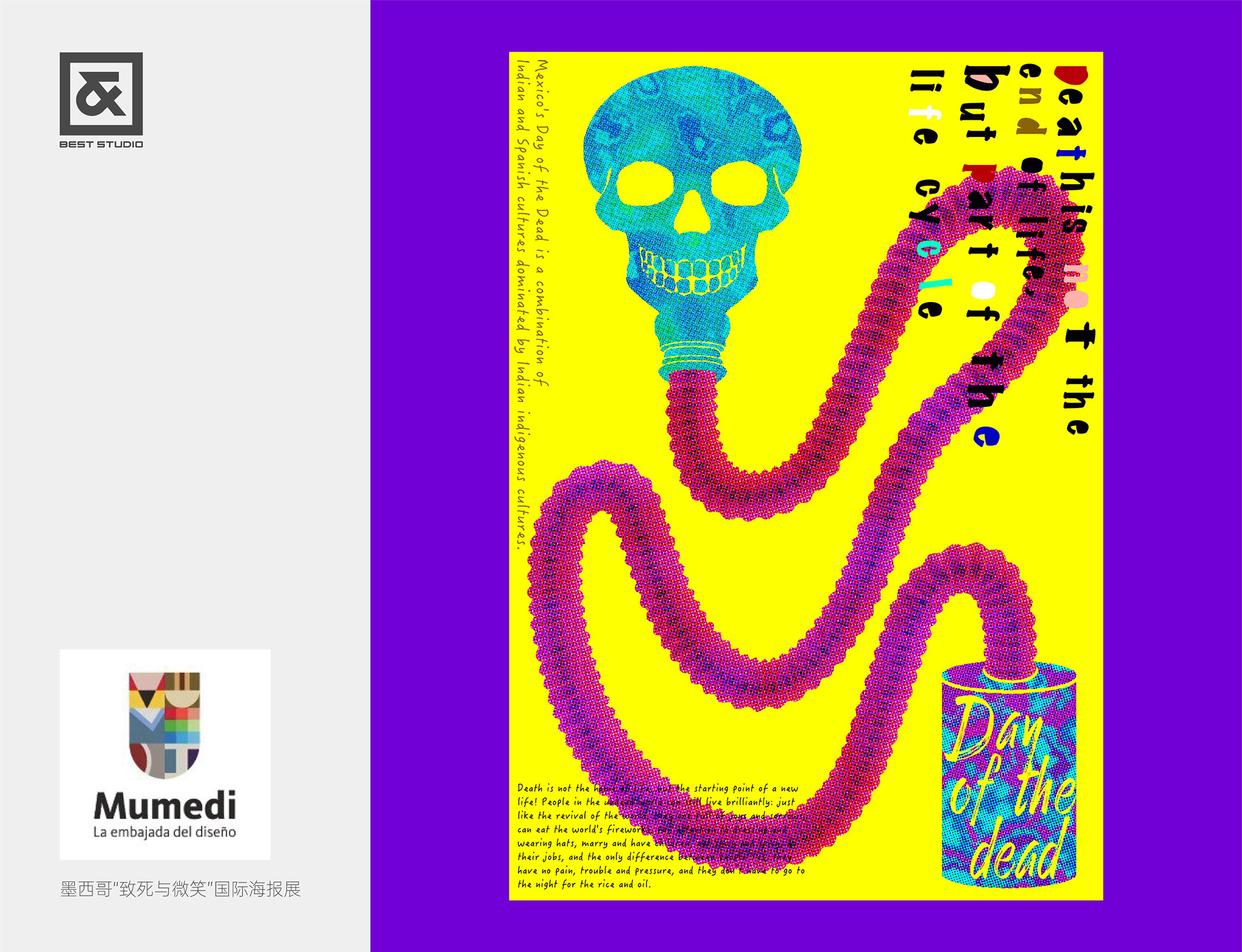 【白色至上设计】阶段性海报汇总  Summary Posters on Behance-15.jpg